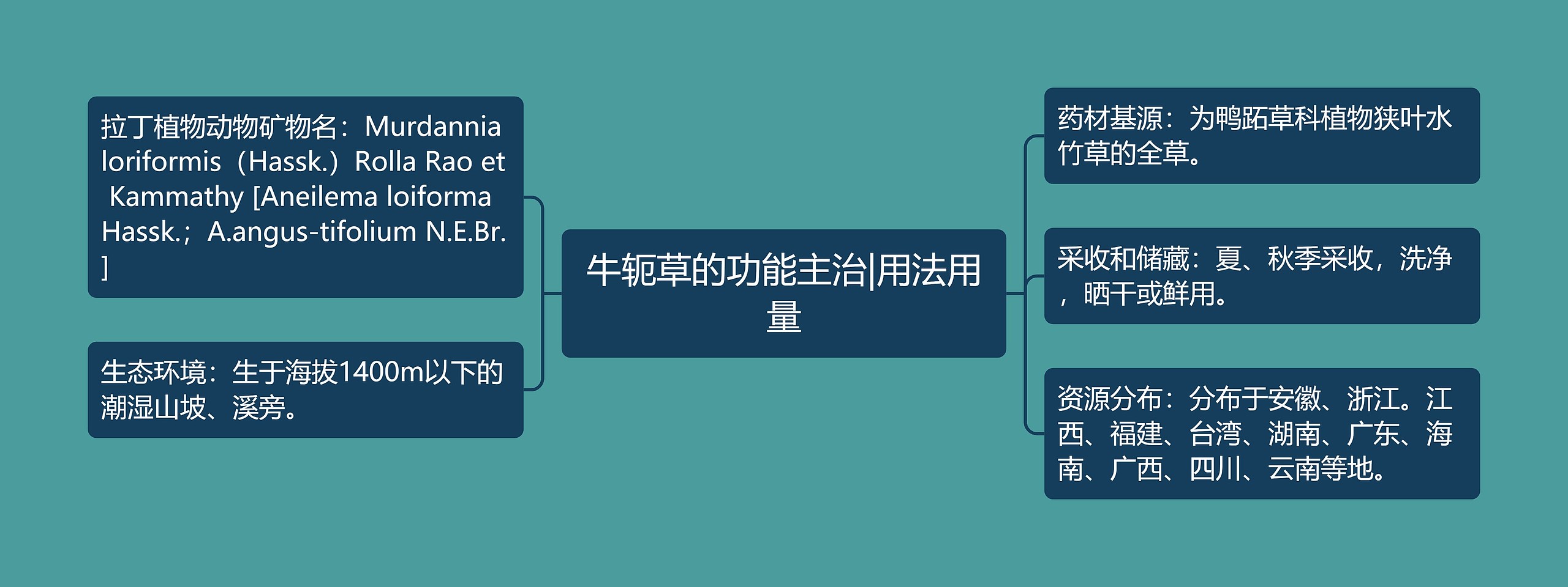 牛轭草的功能主治|用法用量 牛轭草的功能主治|用法用量