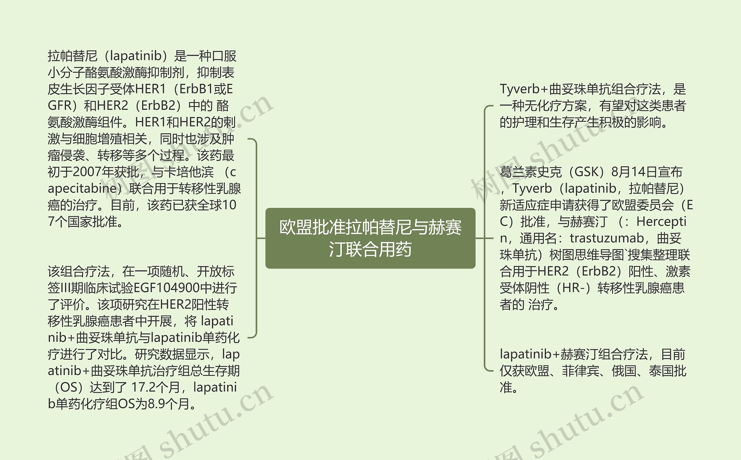 欧盟批准拉帕替尼与赫赛汀联合用药