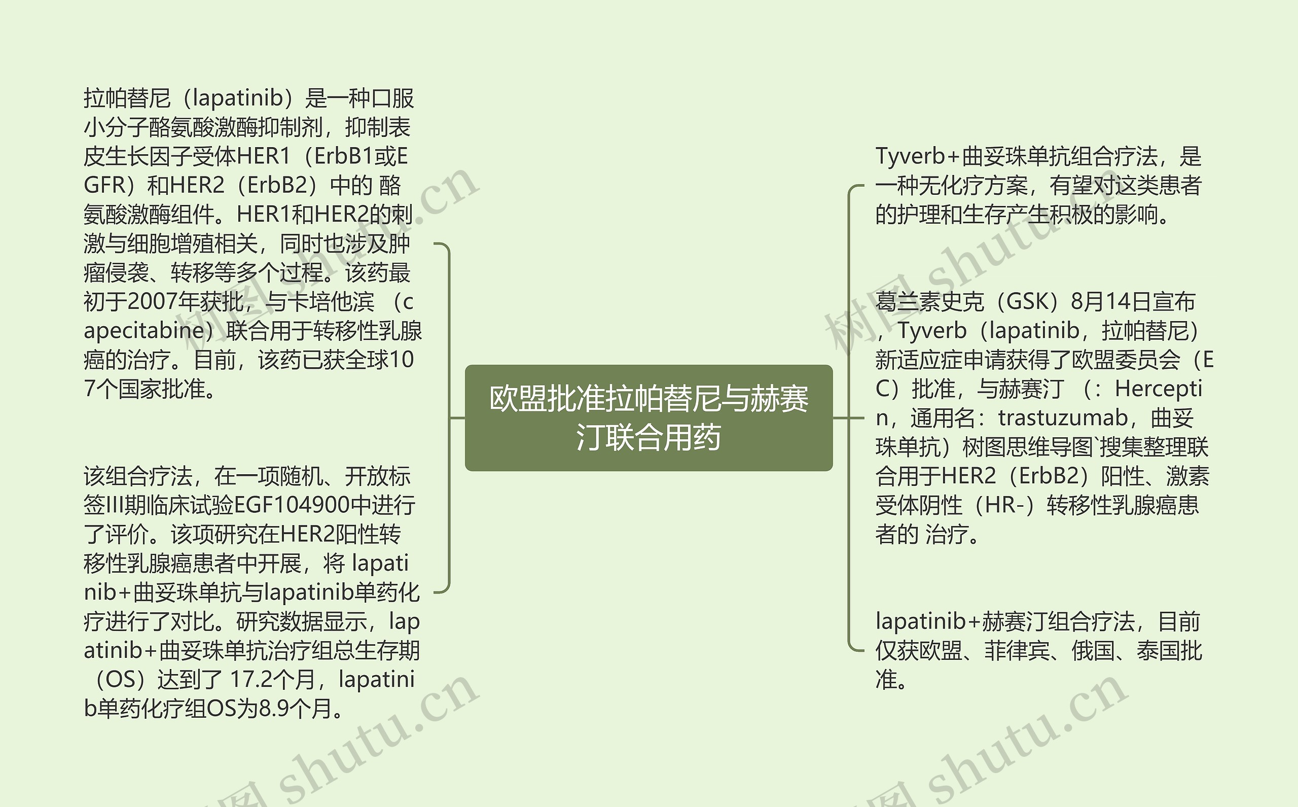 欧盟批准拉帕替尼与赫赛汀联合用药思维导图