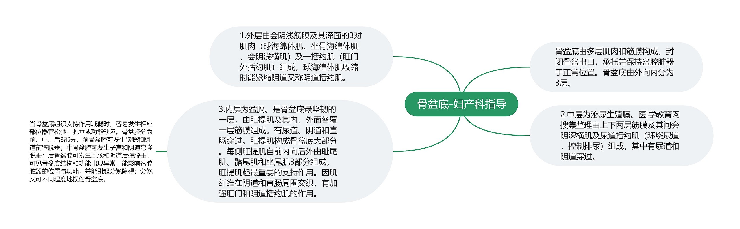 骨盆底-妇产科指导思维导图