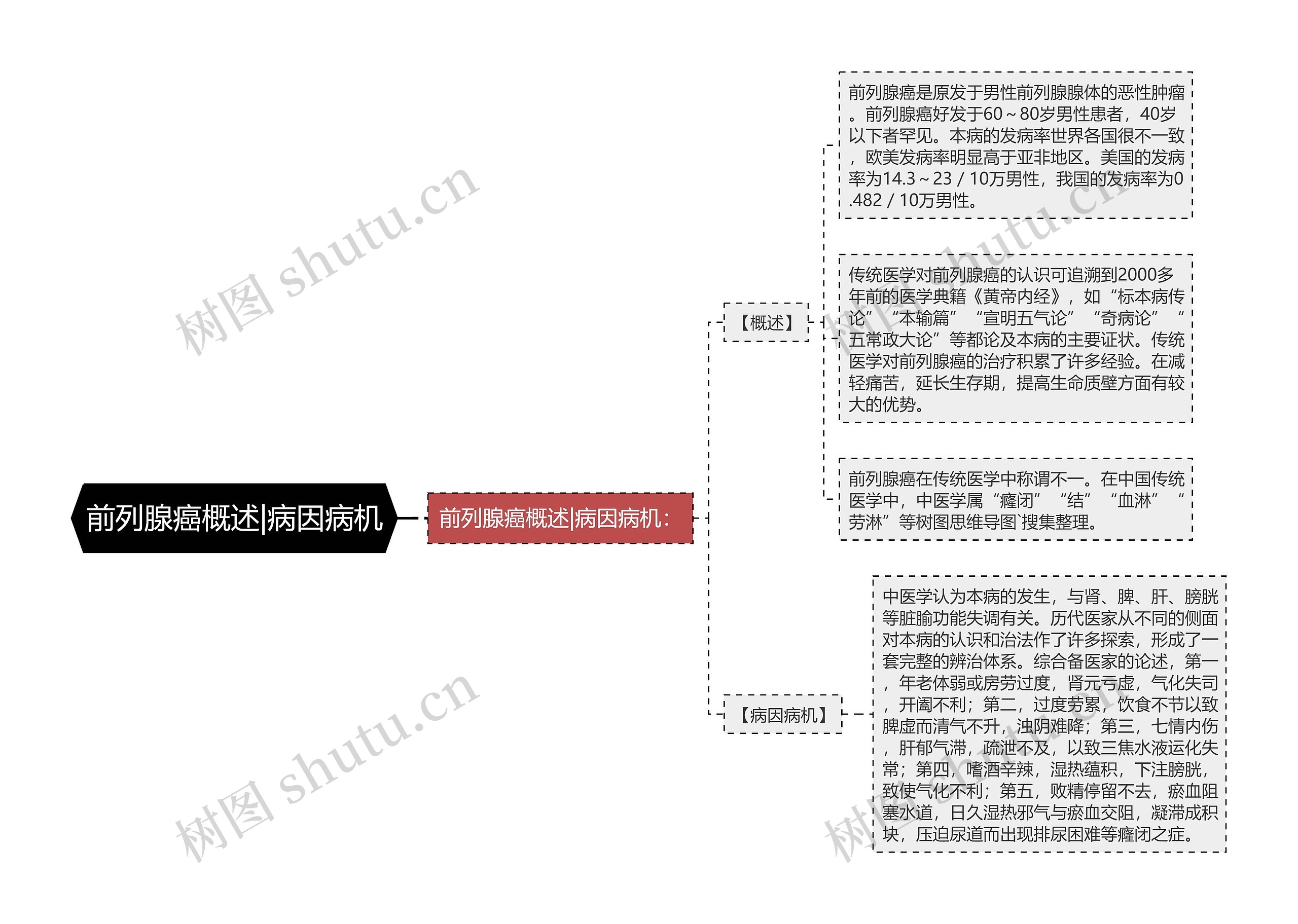 前列腺癌概述|病因病机