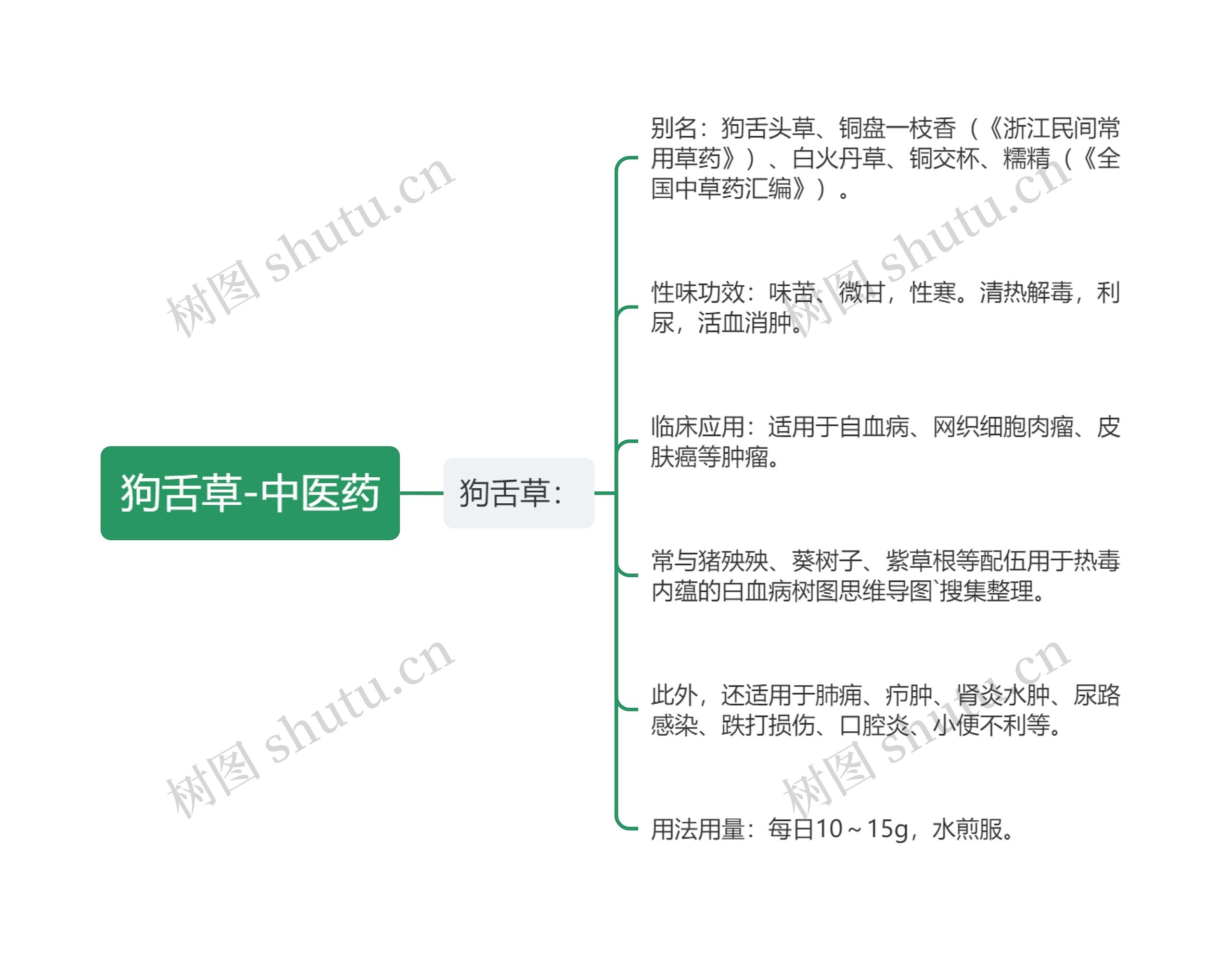 狗舌草-中医药思维导图