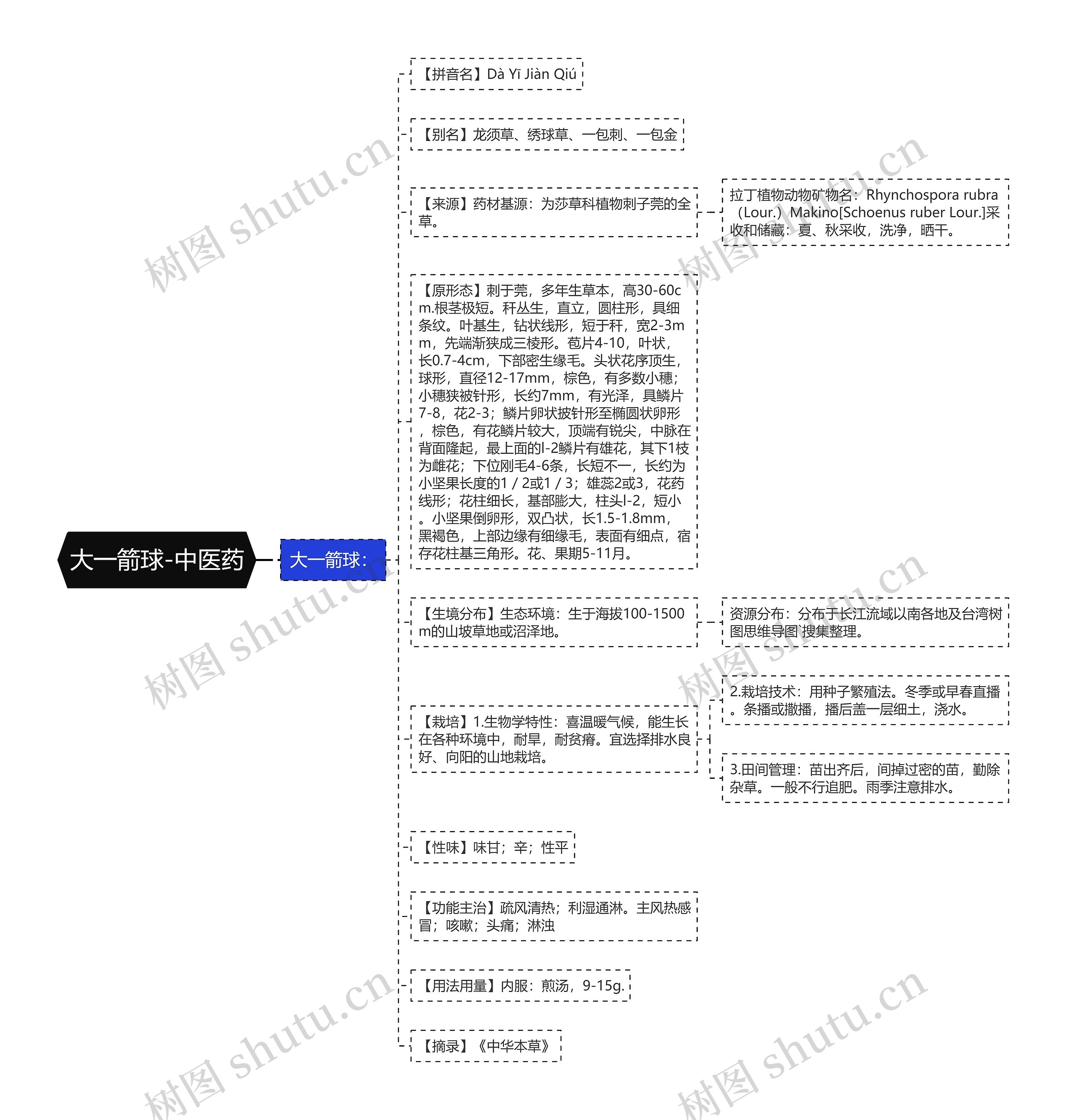 大一箭球-中医药思维导图