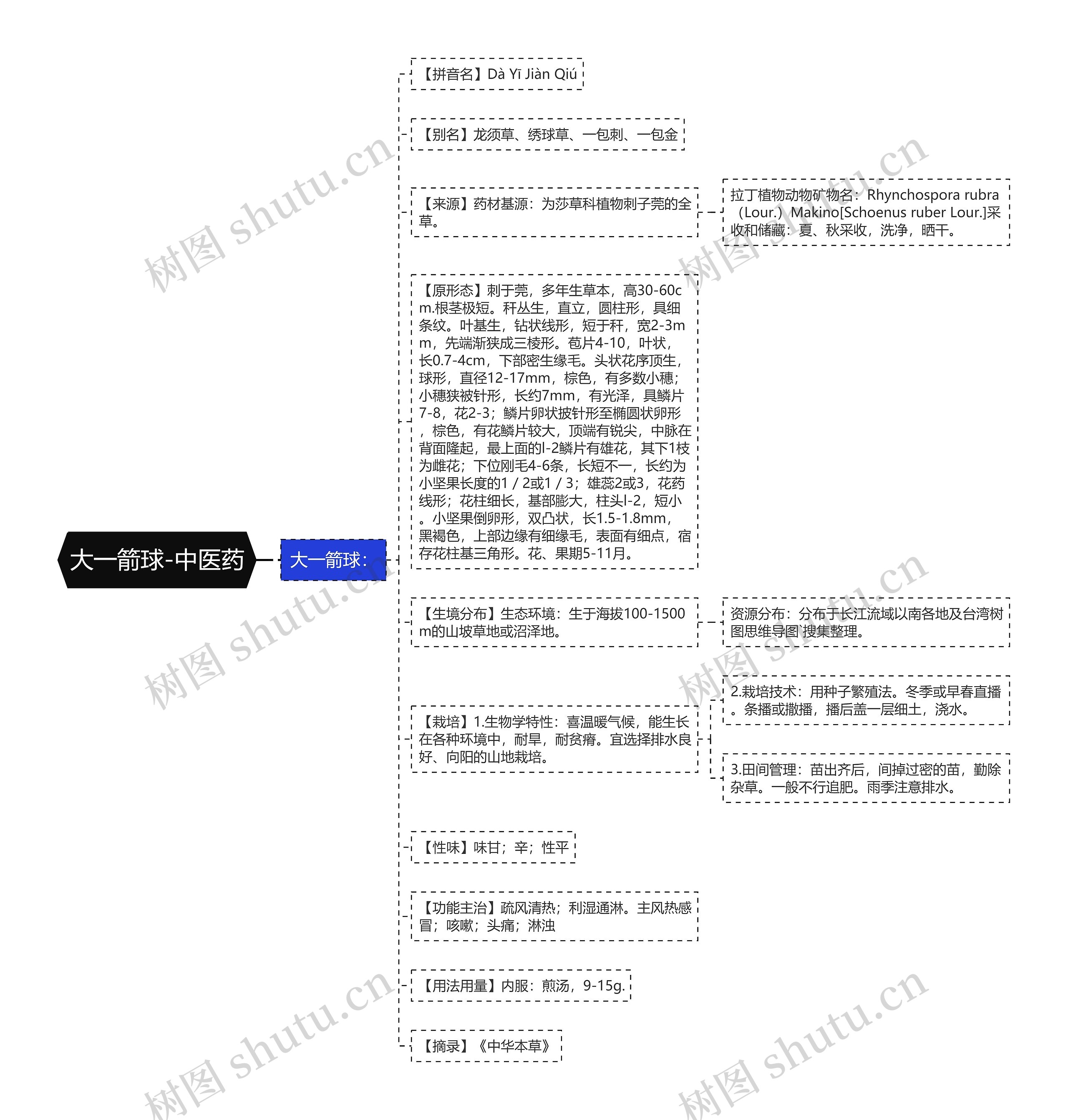 大一箭球-中医药 大一箭球-中医药