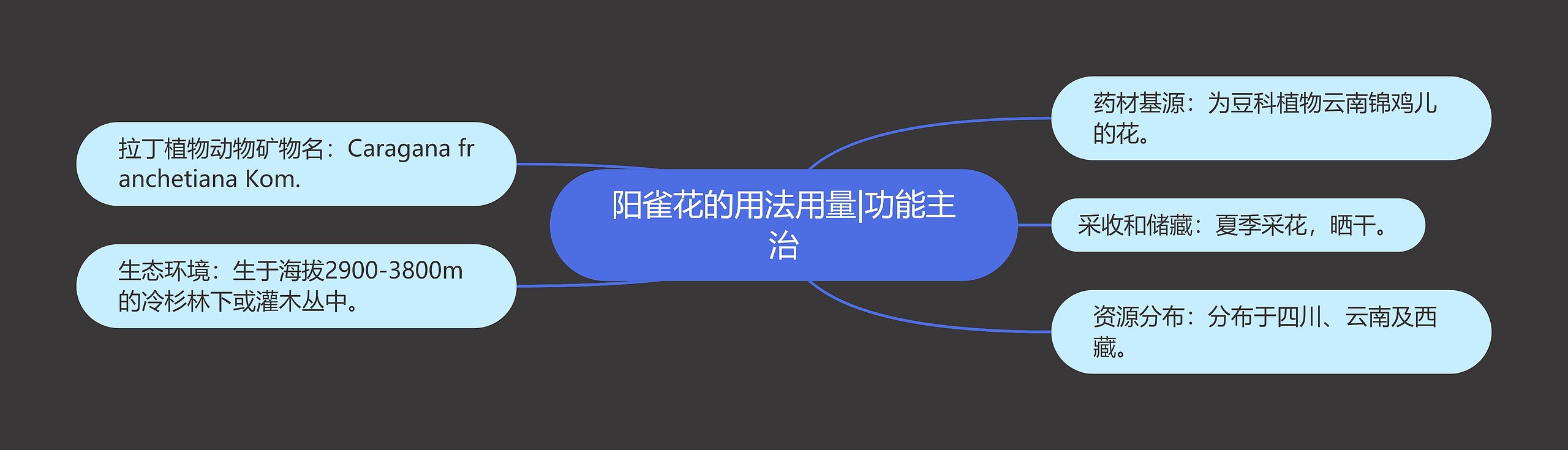 阳雀花的用法用量|功能主治 阳雀花的用法用量|功能主治