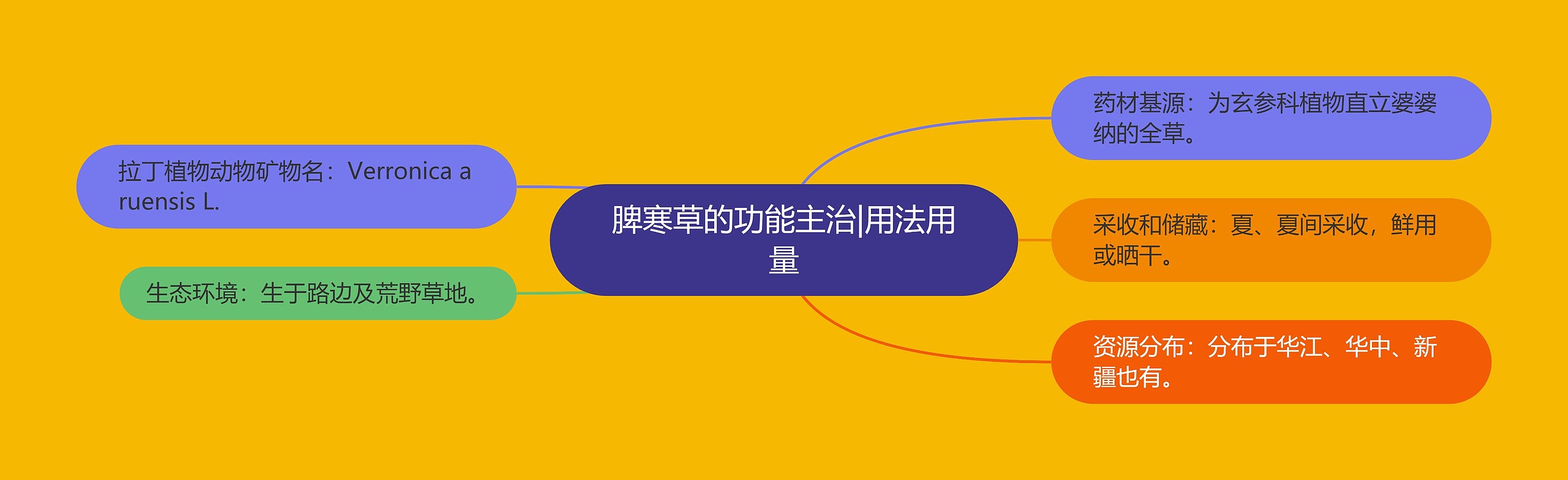脾寒草的功能主治|用法用量 脾寒草的功能主治|用法用量