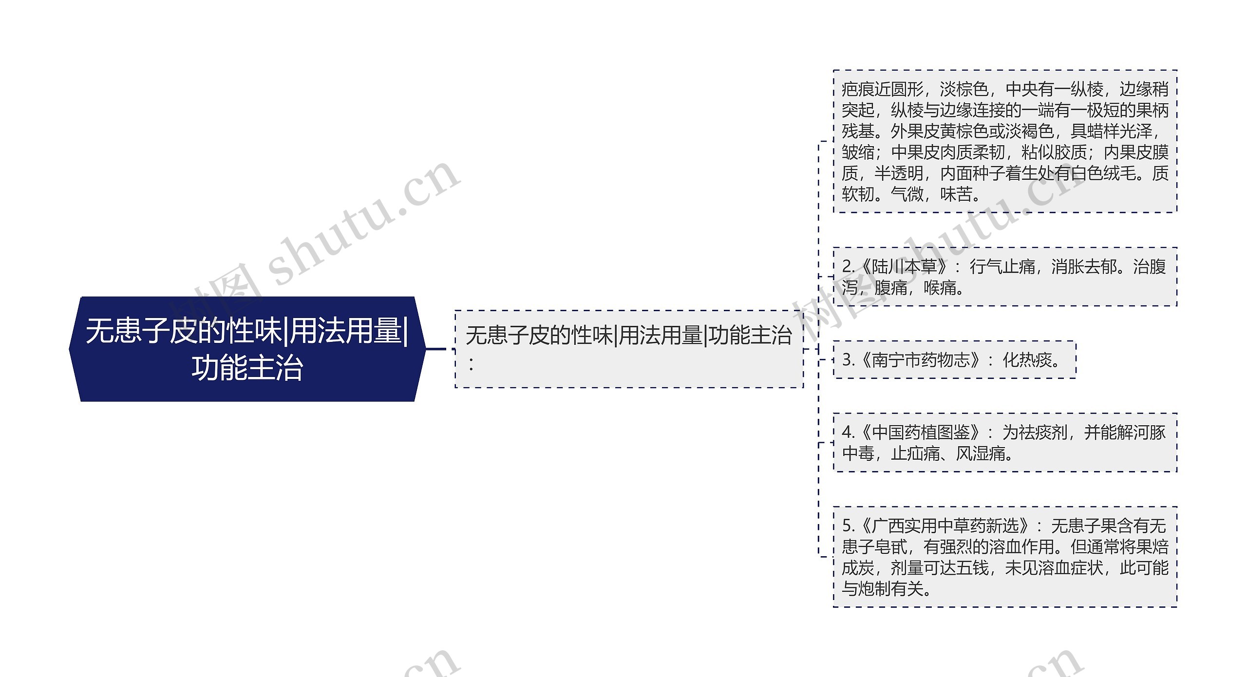 无患子皮的性味|用法用量|功能主治