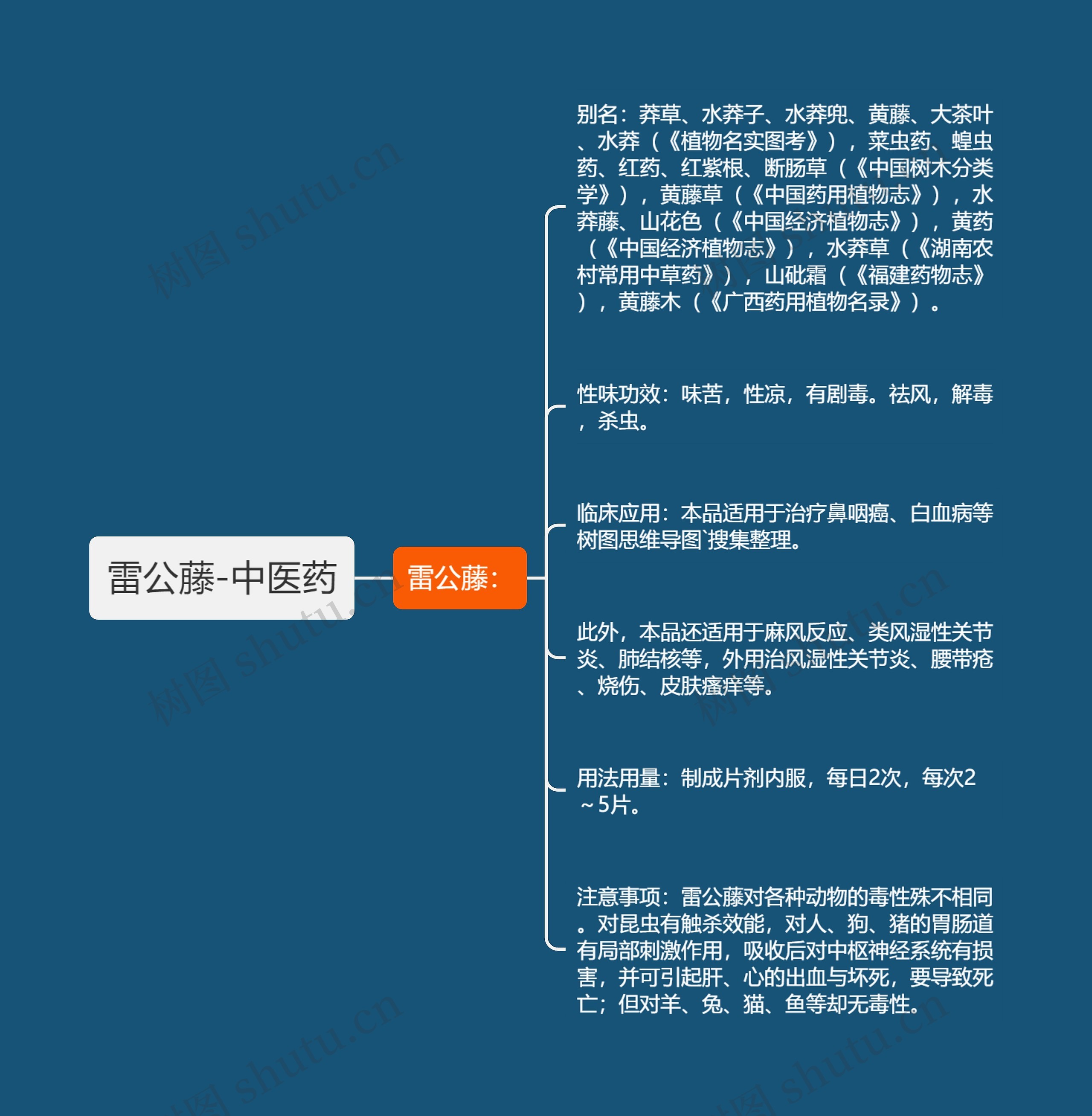 雷公藤-中医药 雷公藤-中医药