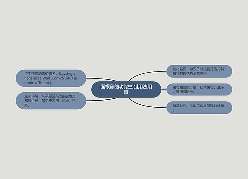 面根藤的功能主治|用法用量