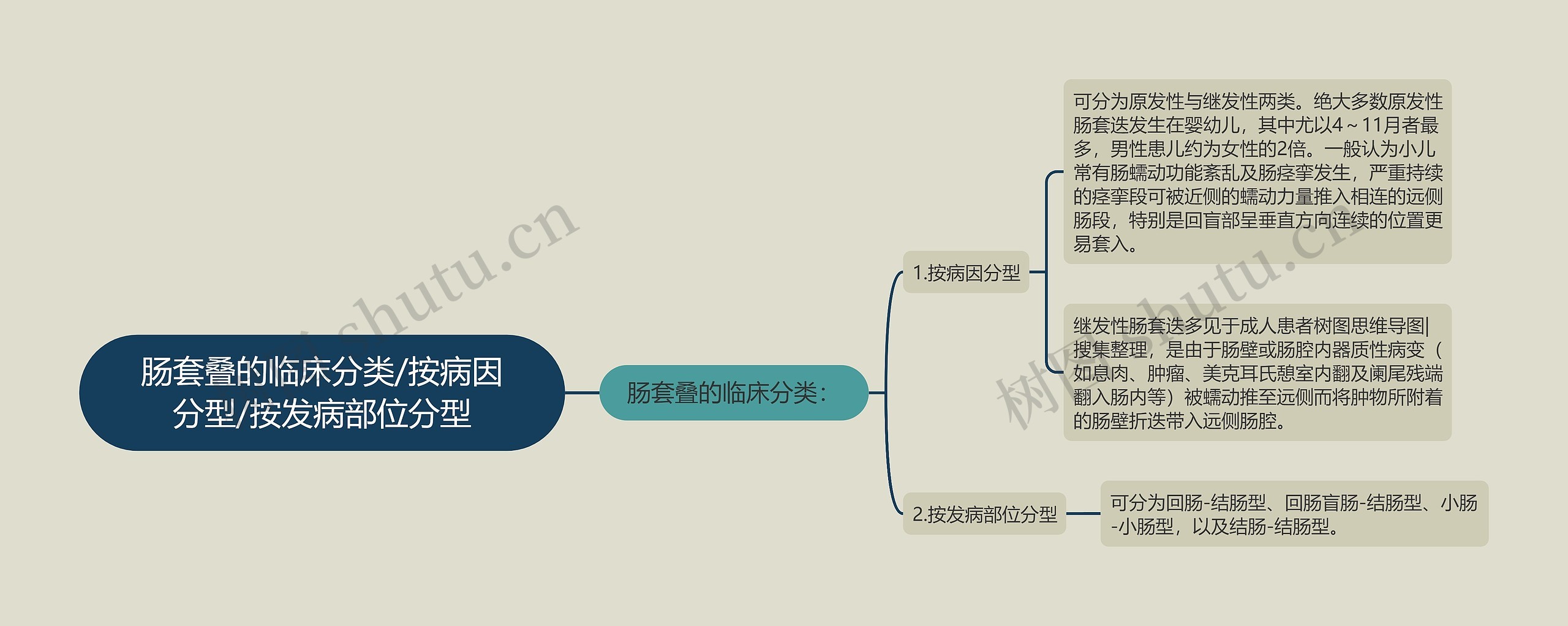 肠套叠的临床分类/按病因分型/按发病部位分型