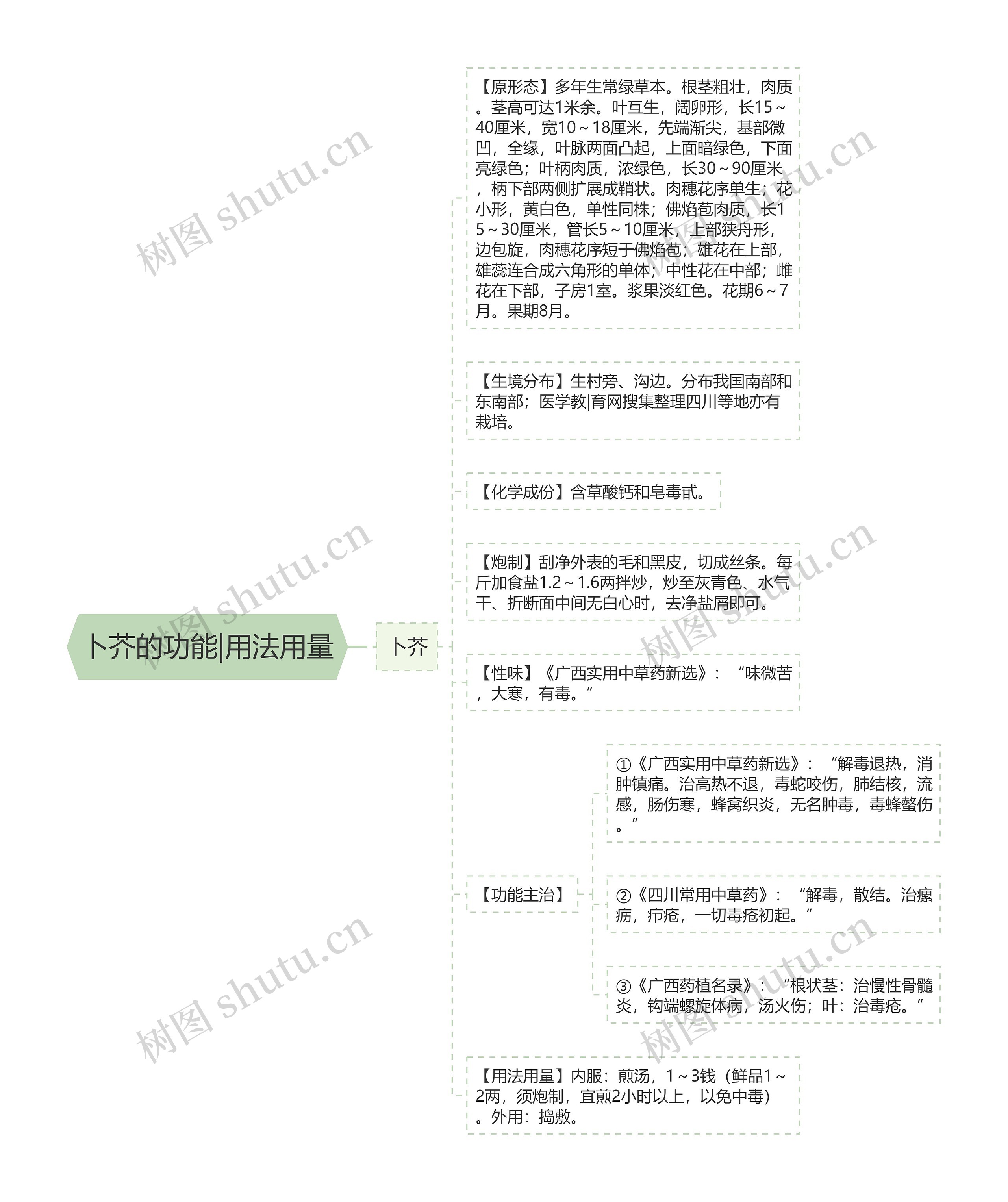 卜芥的功能|用法用量思维导图