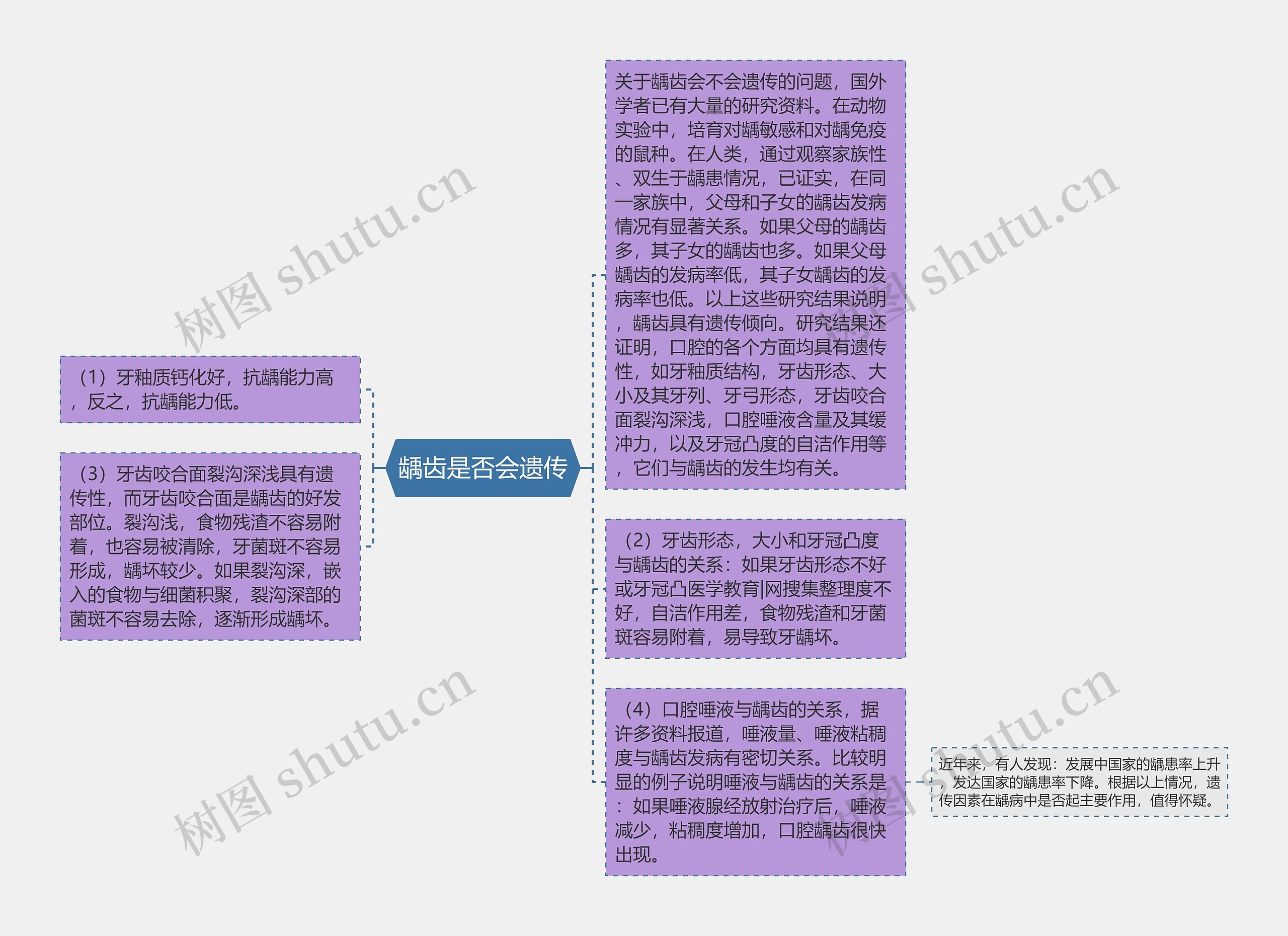 龋齿是否会遗传思维导图