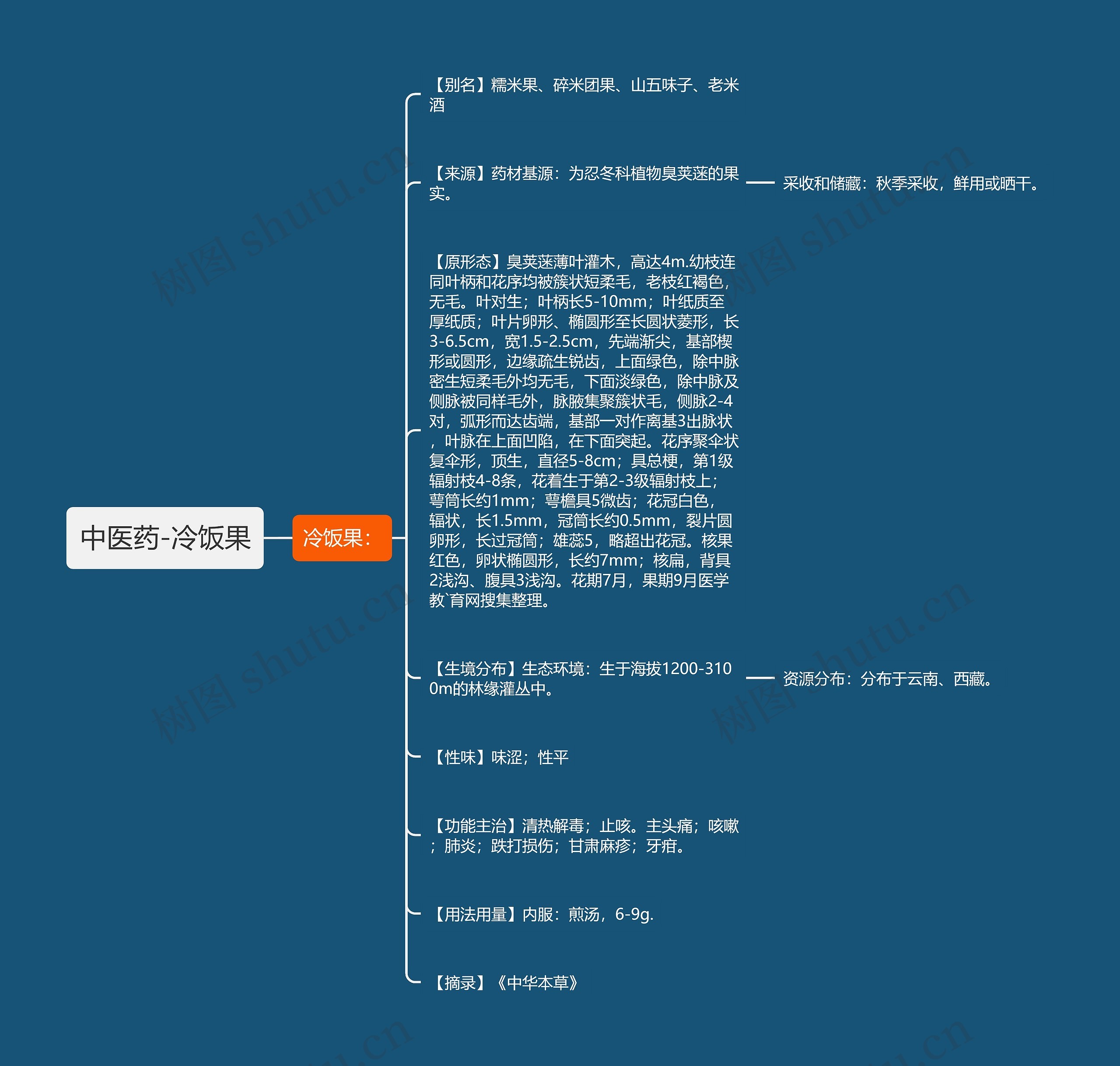 中医药-冷饭果思维导图