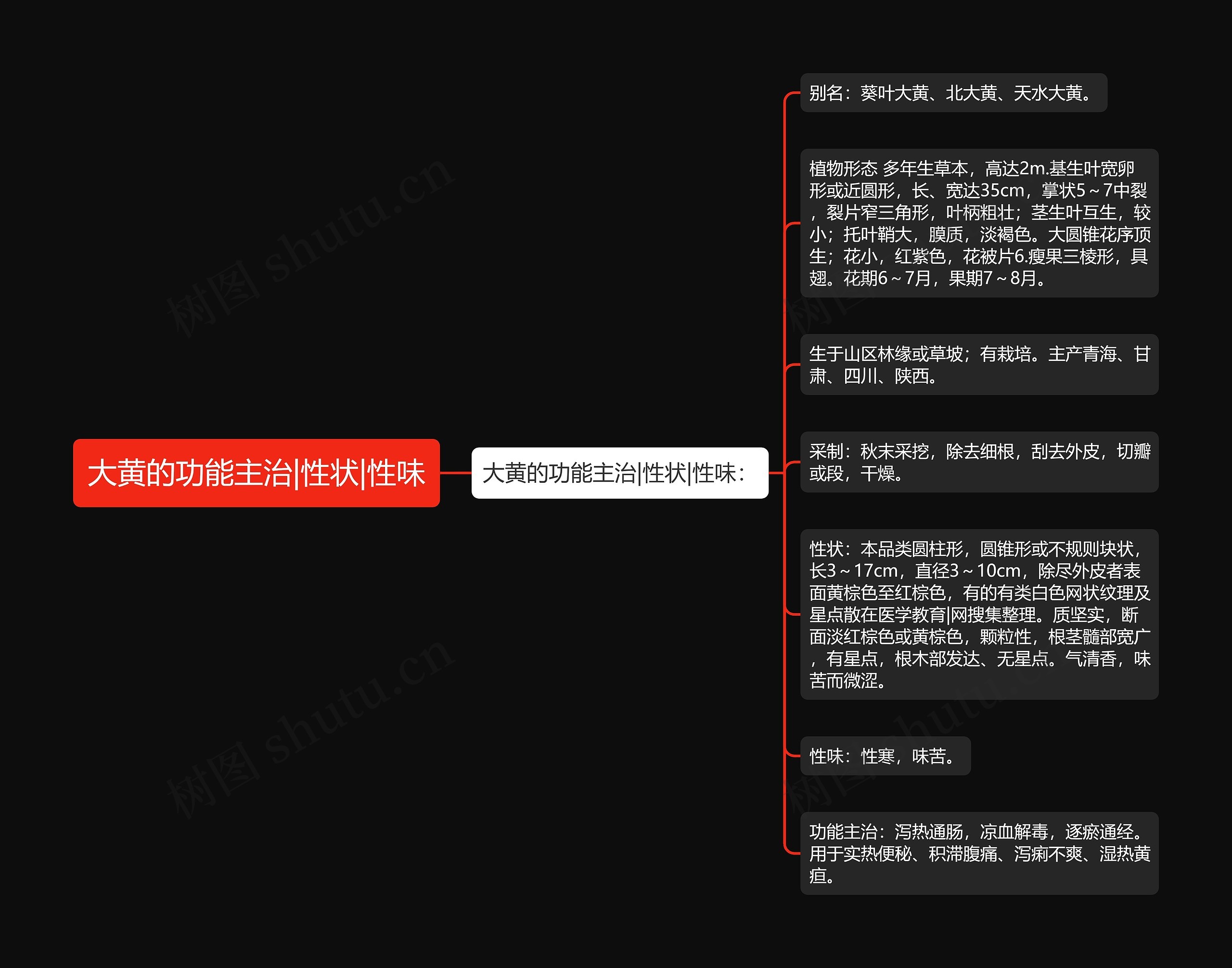 大黄的功能主治|性状|性味 大黄的功能主治|性状|性味