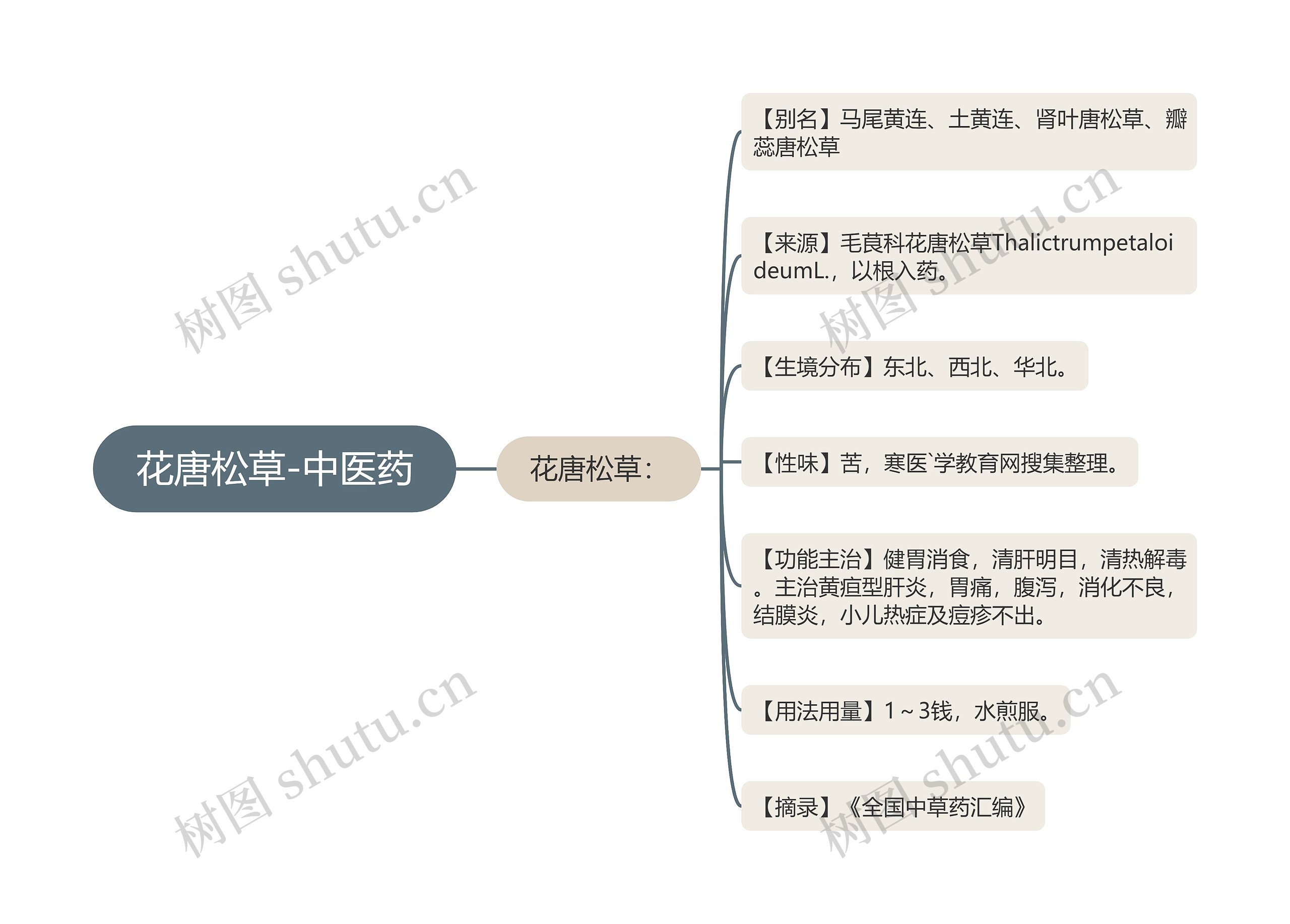 花唐松草-中医药思维导图