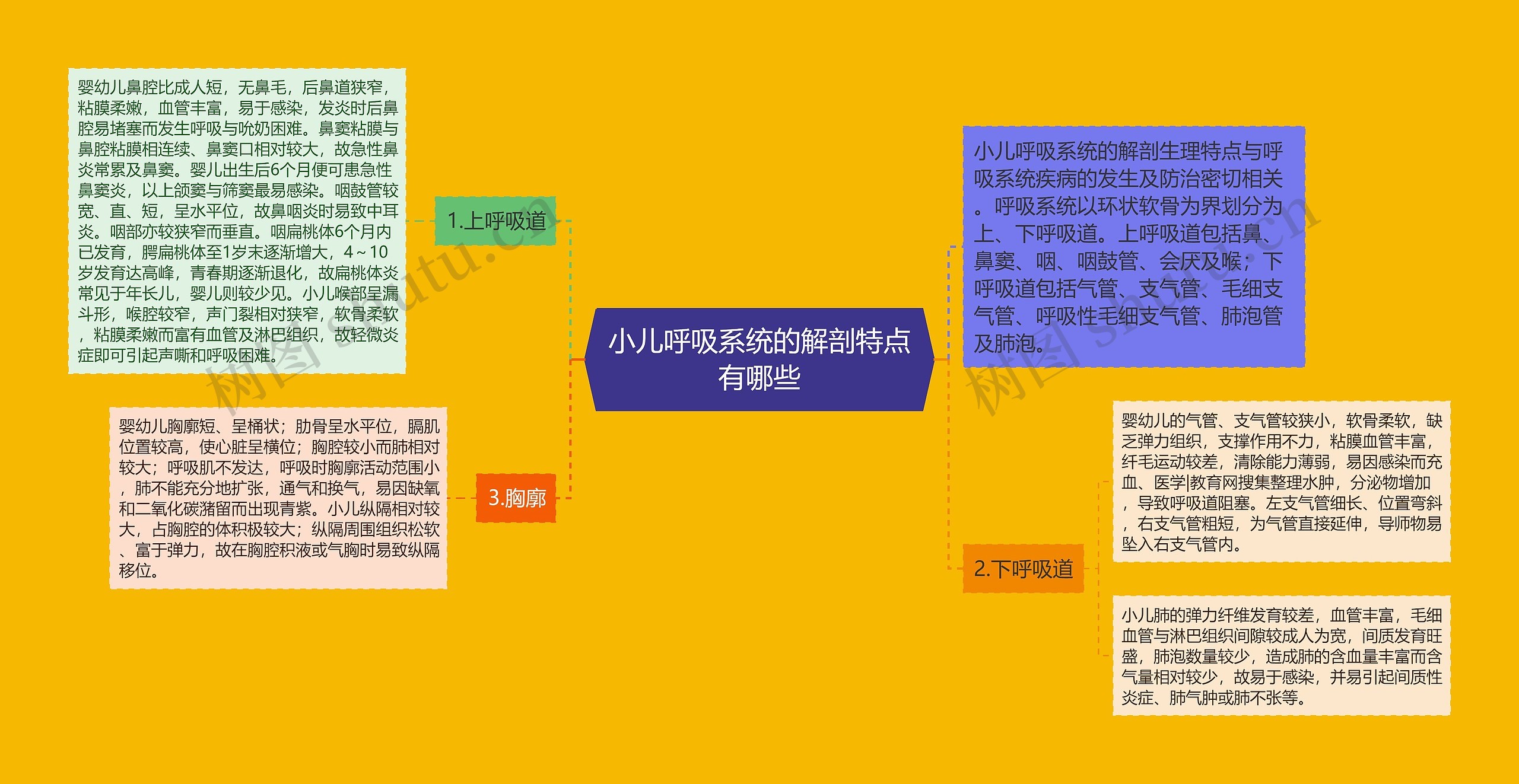 小儿呼吸系统的解剖特点有哪些 小儿呼吸系统的解剖特点有哪些