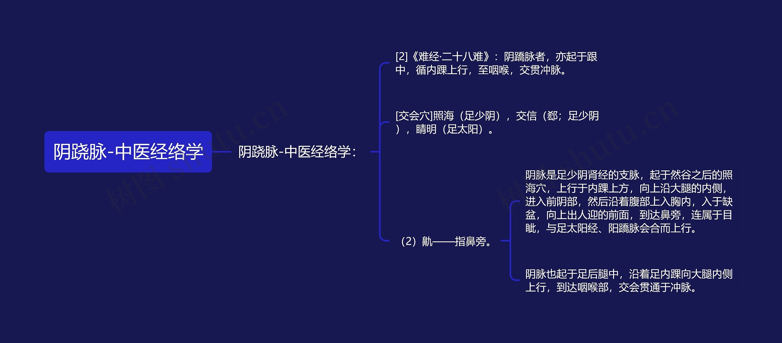 阴跷脉-中医经络学思维导图