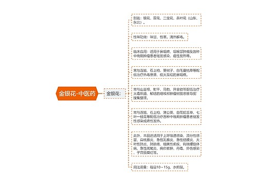金银花-中医药
