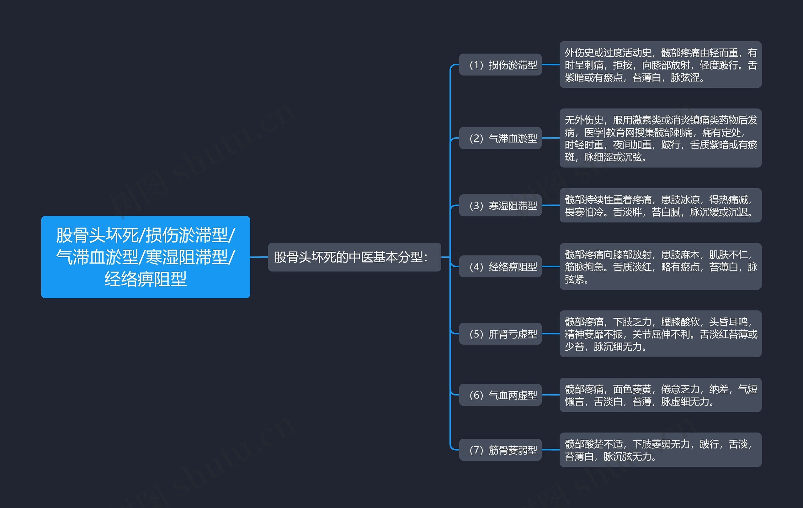 股骨头坏死/损伤淤滞型/气滞血淤型/寒湿阻滞型/经络痹阻型思维导图
