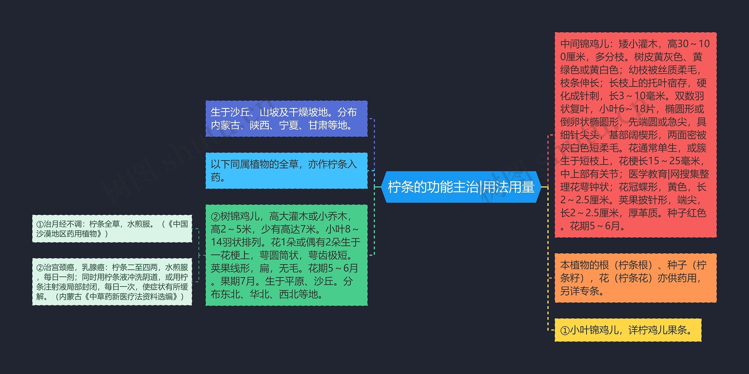 柠条的功能主治|用法用量思维导图