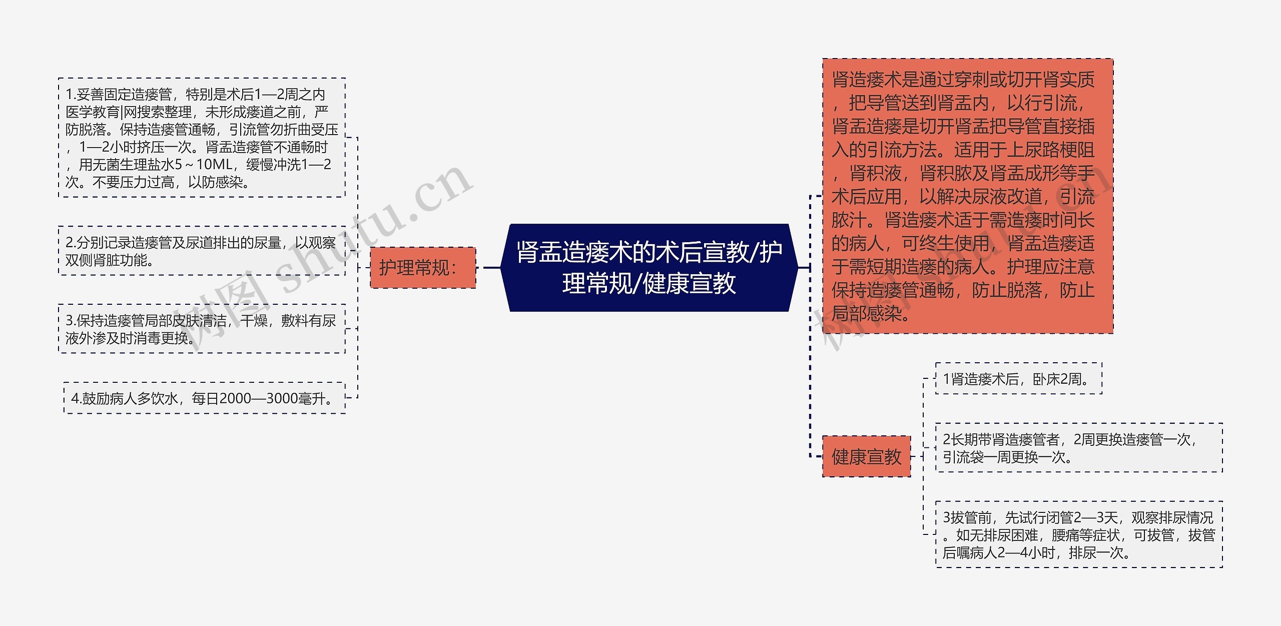 肾盂造瘘术的术后宣教/护理常规/健康宣教思维导图