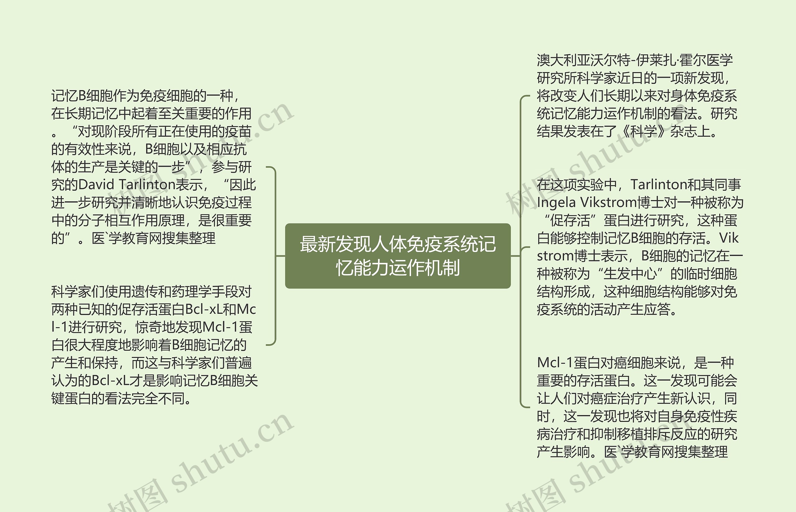 最新发现人体免疫系统记忆能力运作机制思维导图