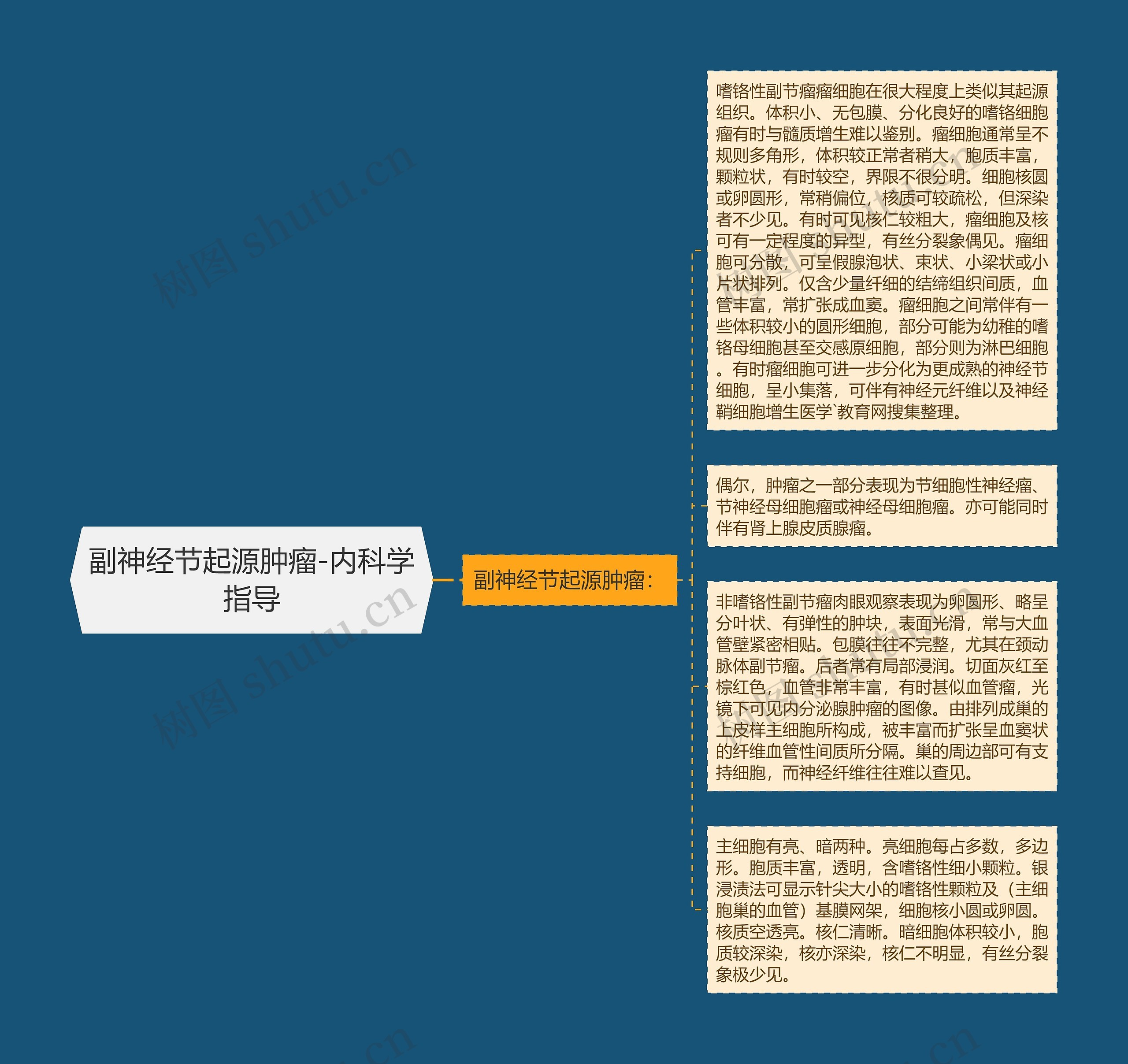 副神经节起源肿瘤-内科学指导思维导图