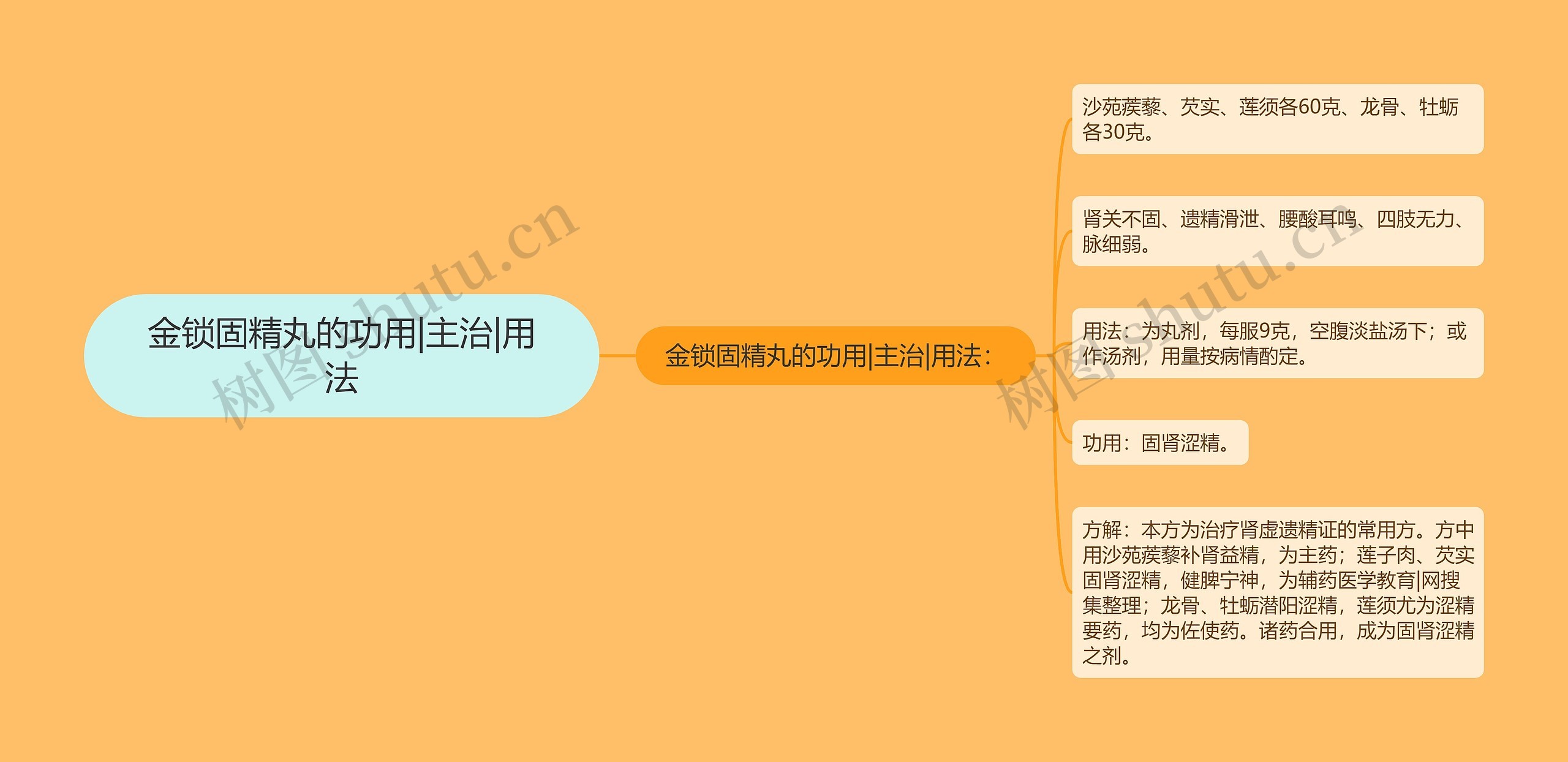 金锁固精丸的功用|主治|用法思维导图