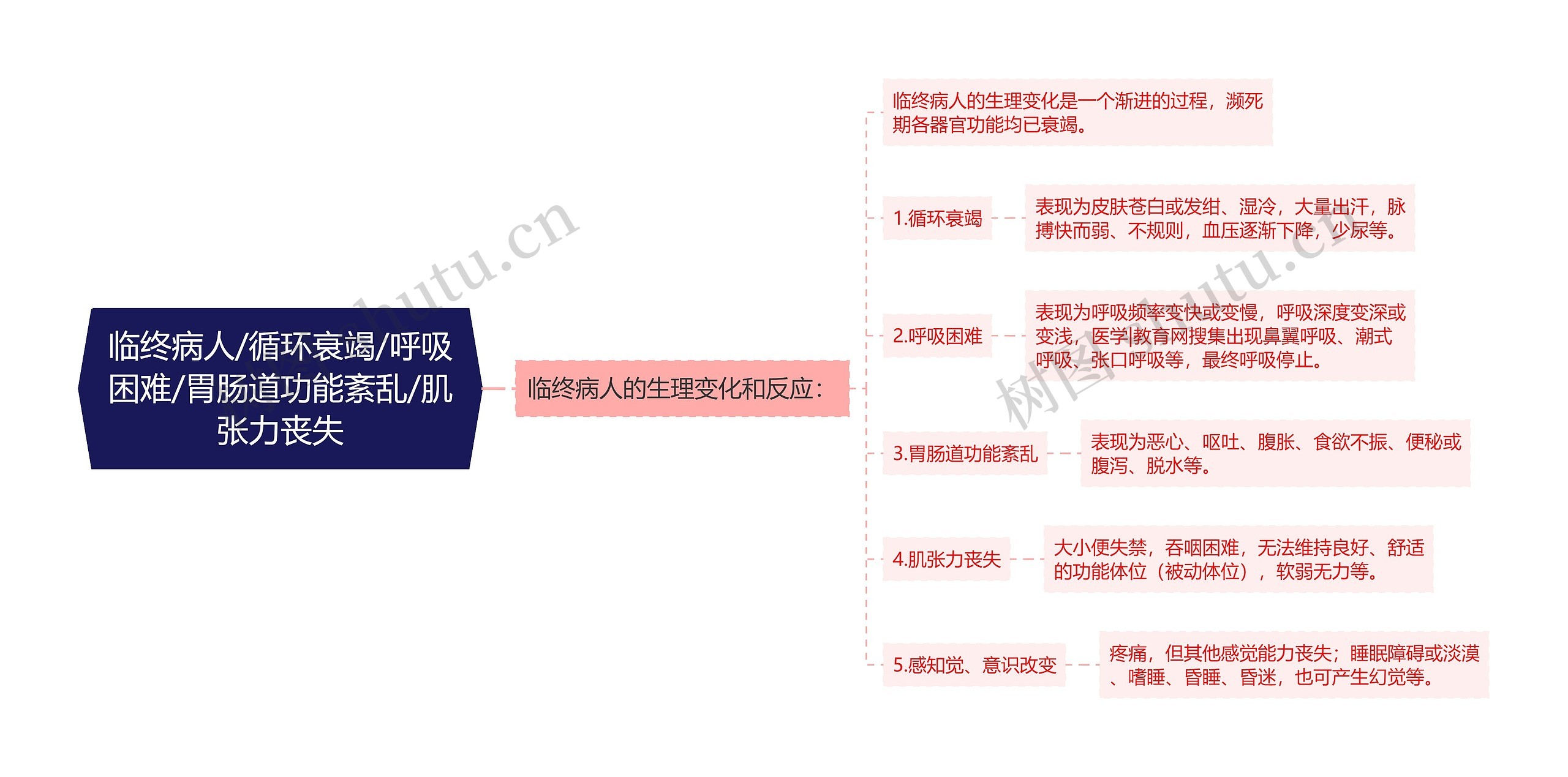 临终病人/循环衰竭/呼吸困难/胃肠道功能紊乱/肌张力丧失思维导图