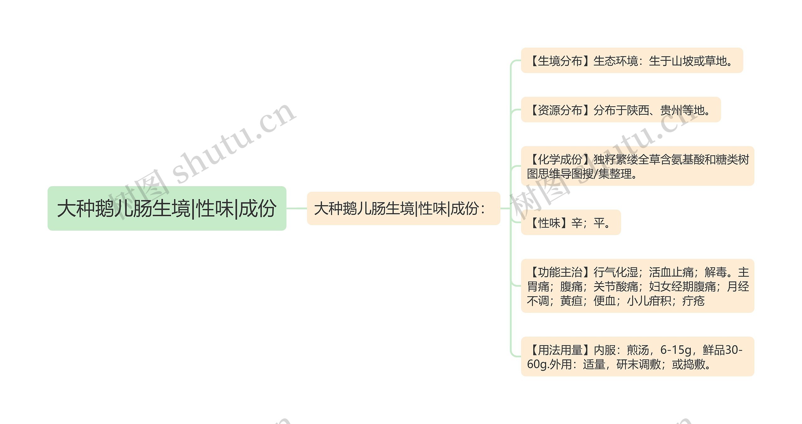 大种鹅儿肠生境|性味|成份思维导图