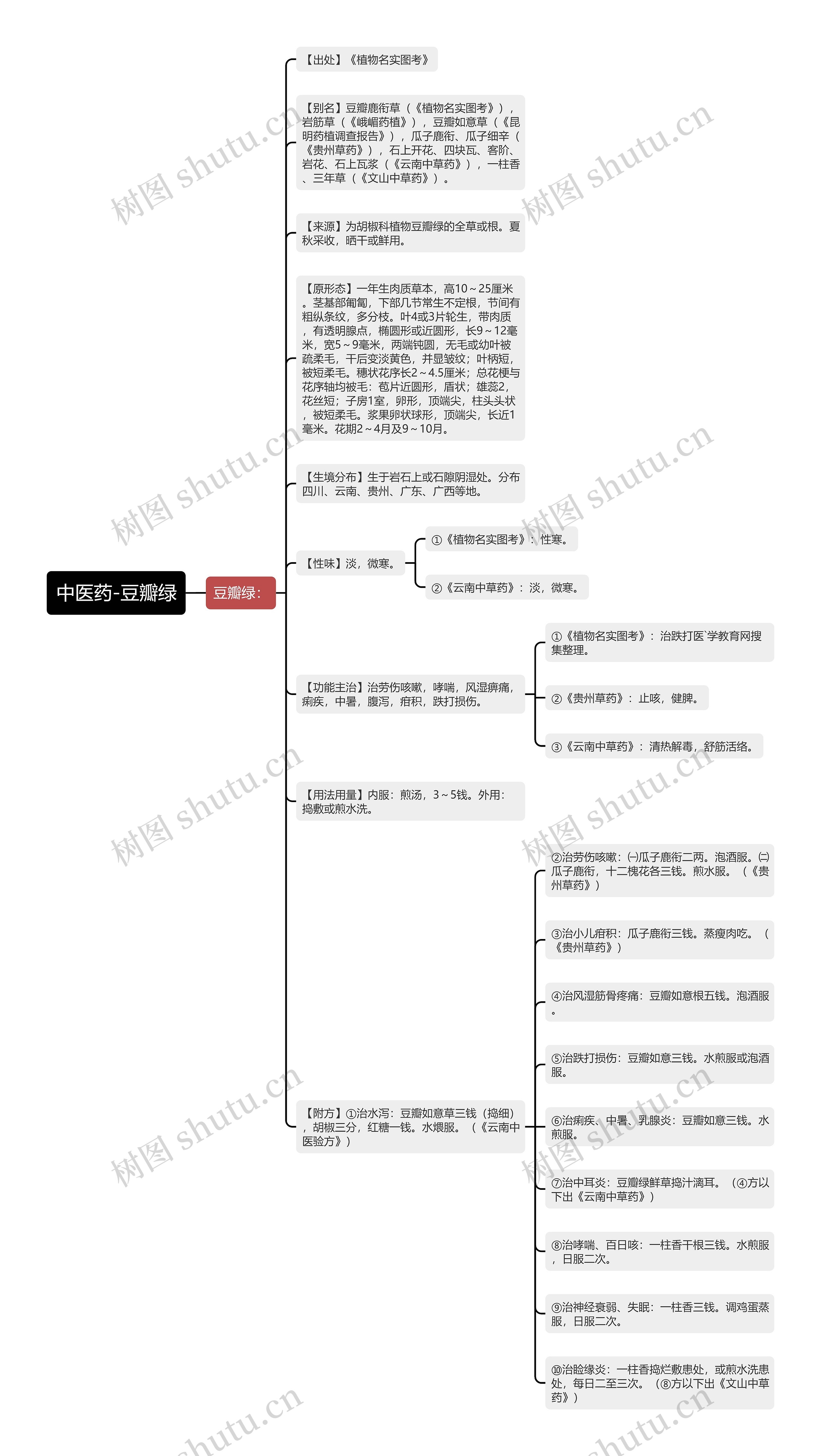 中医药-豆瓣绿思维导图