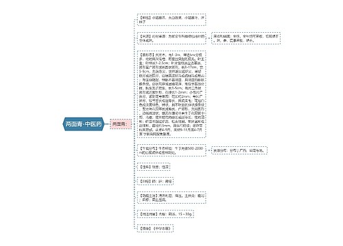 两面青-中医药