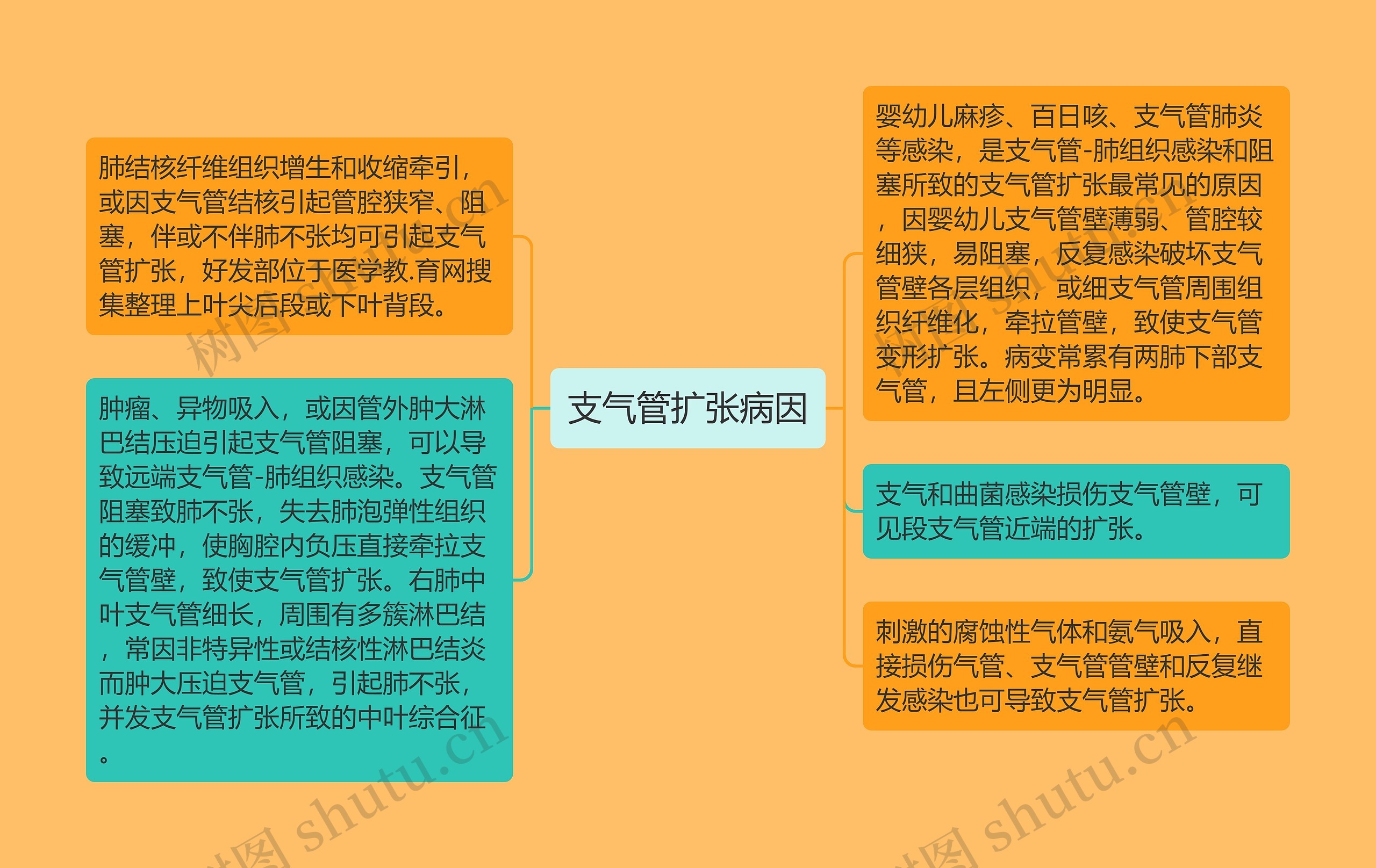 支气管扩张病因思维导图