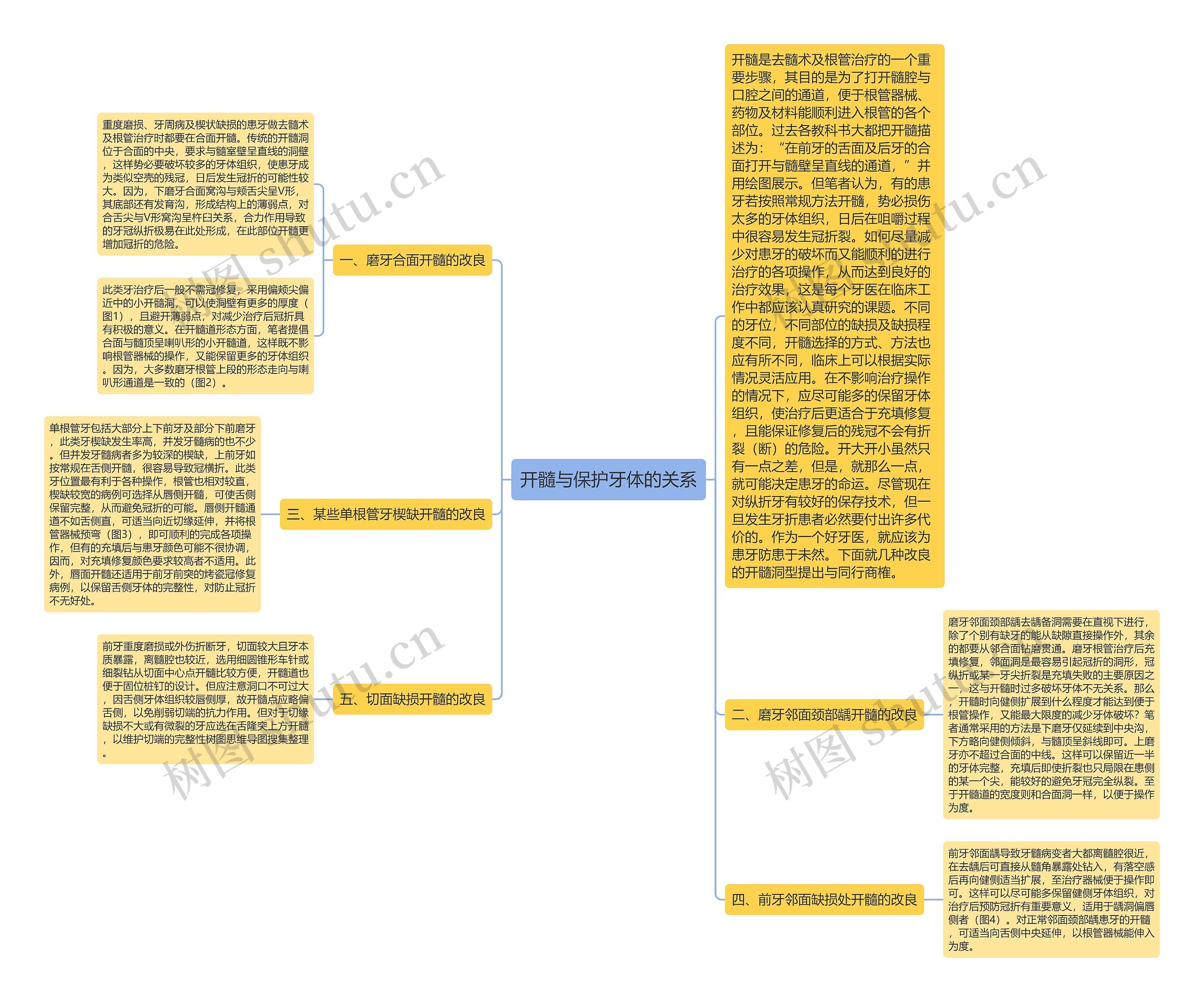开髓与保护牙体的关系思维导图