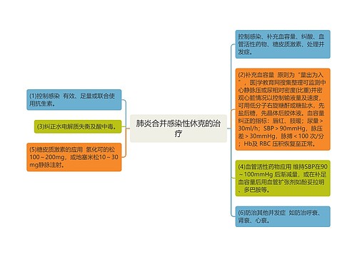 肺炎合并感染性休克的治疗