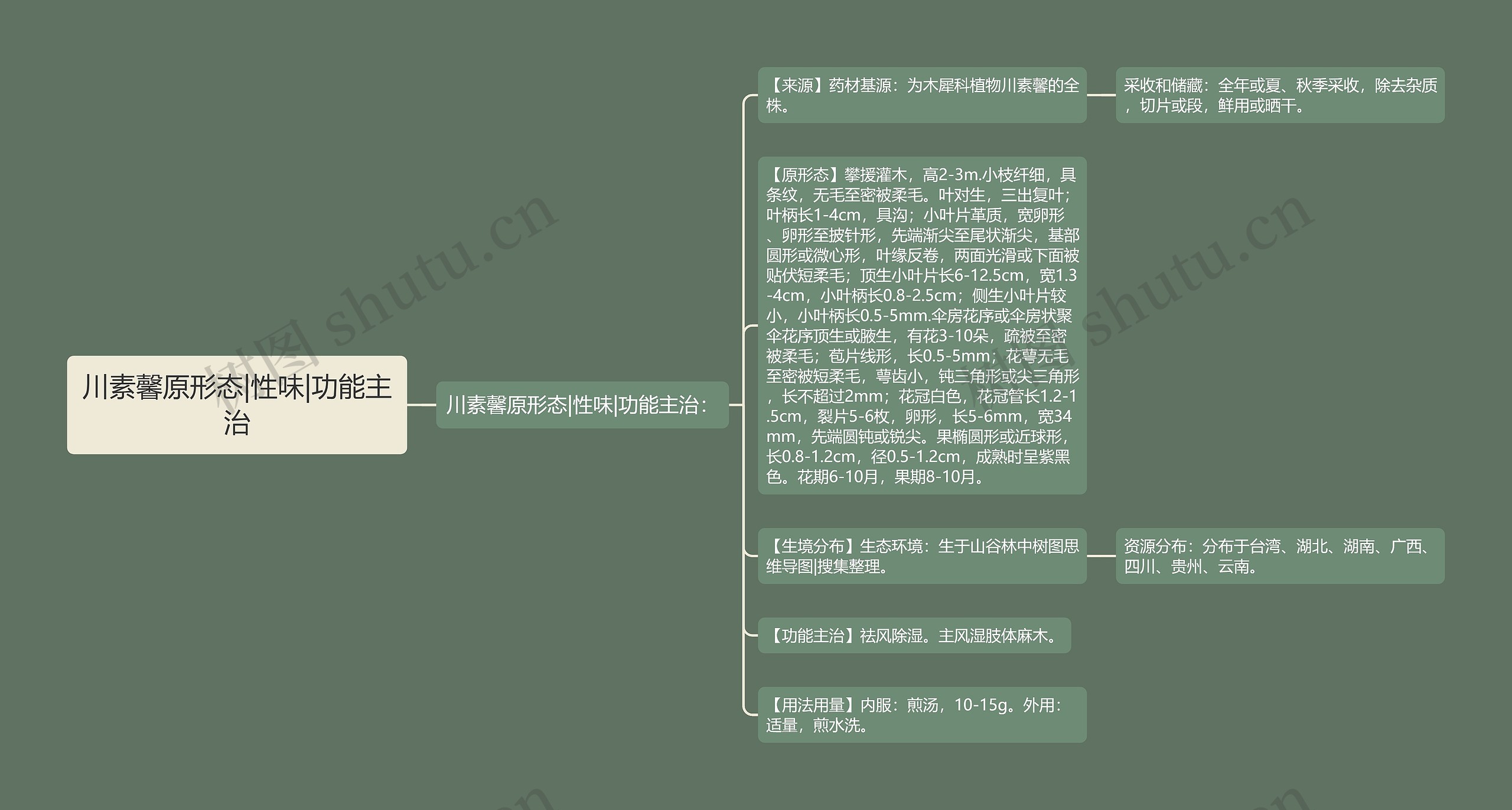 川素馨原形态|性味|功能主治思维导图