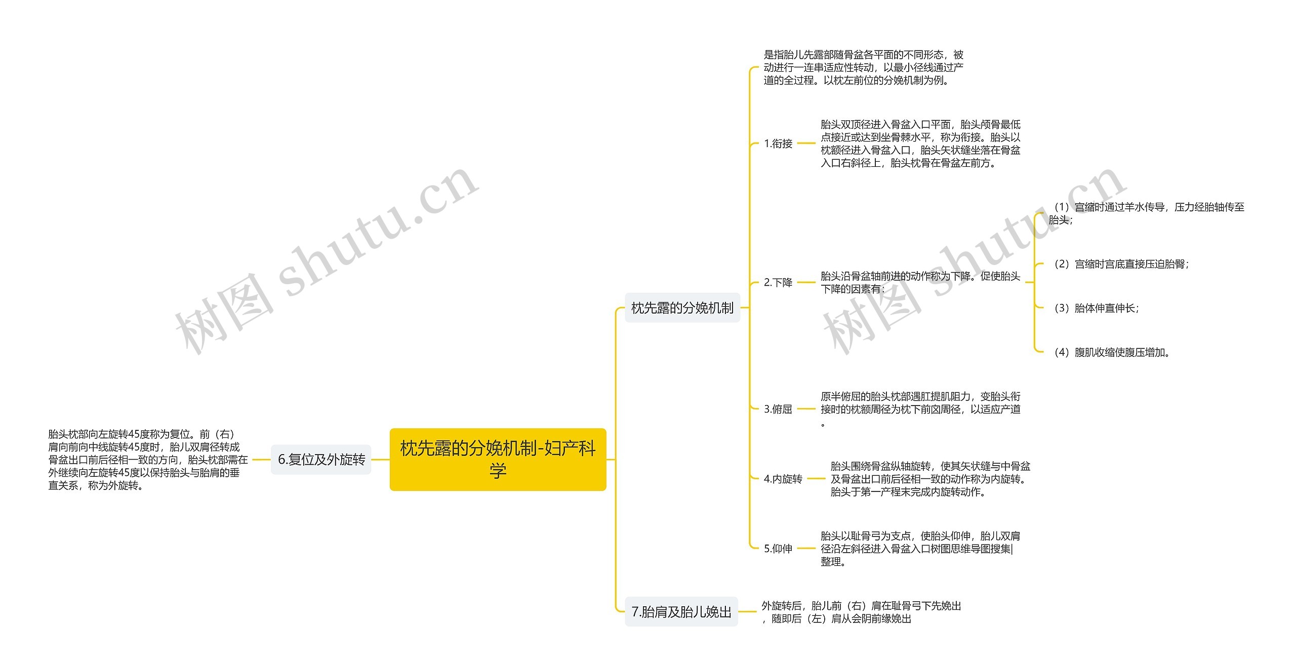 枕先露的分娩机制-妇产科学思维导图