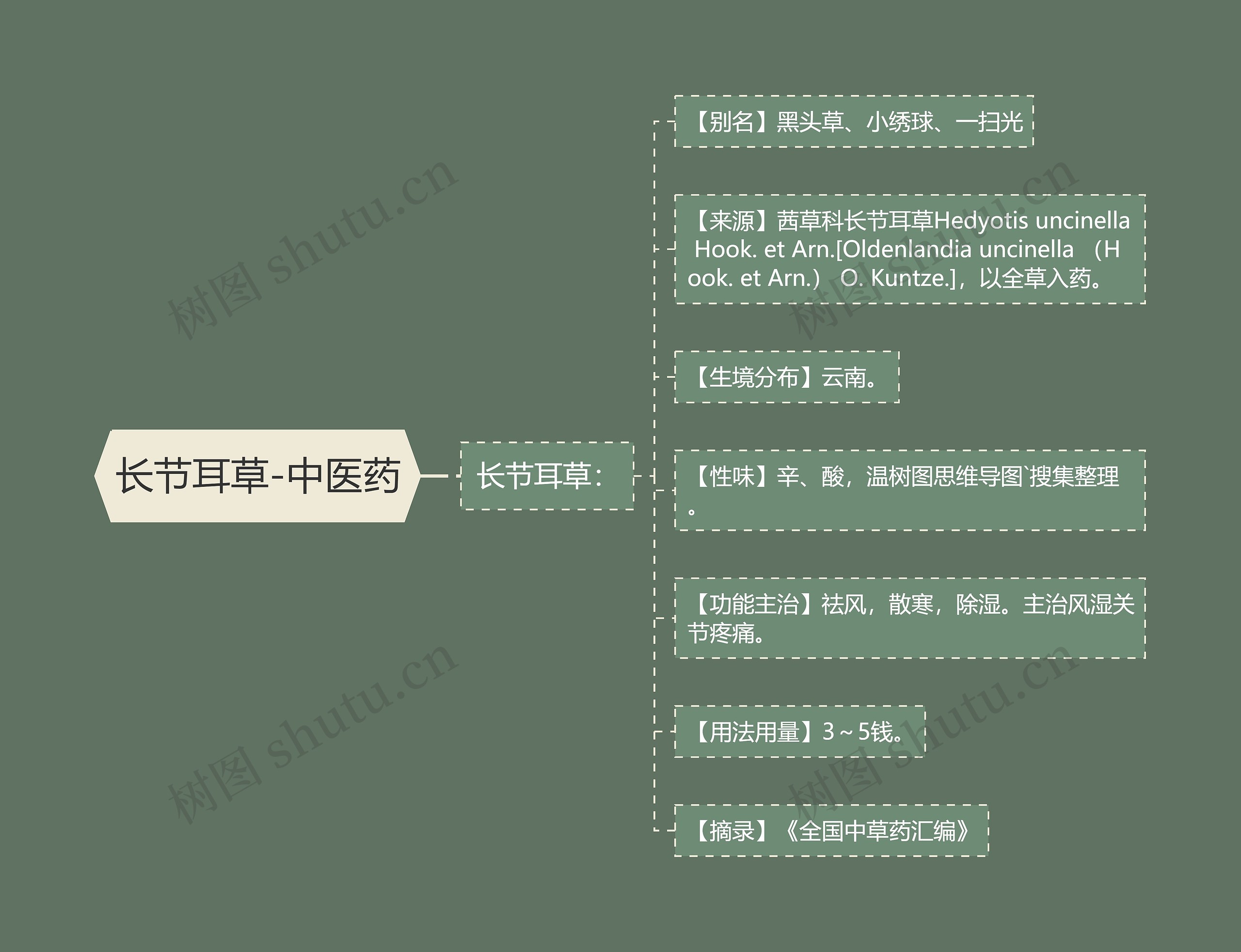 长节耳草-中医药 长节耳草-中医药