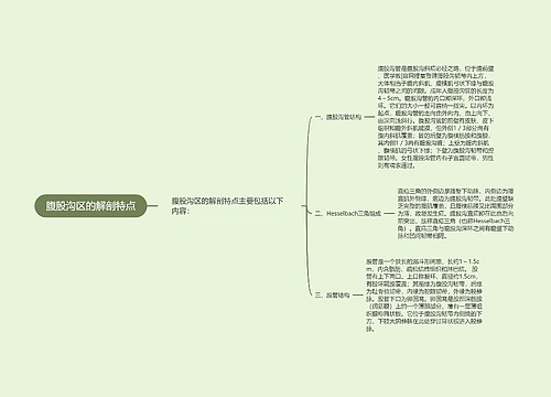 腹股沟区的解剖特点