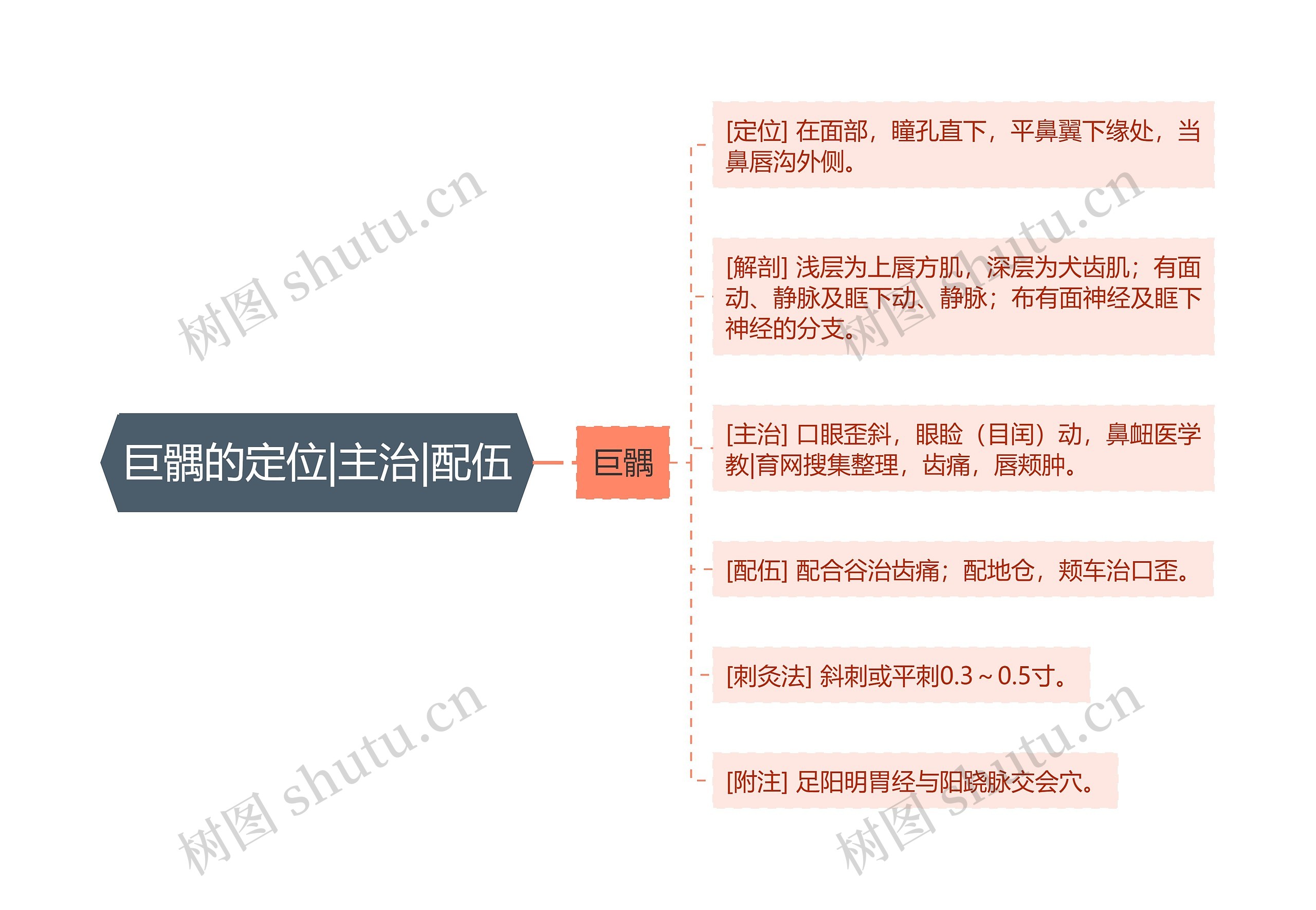 巨髃的定位|主治|配伍 巨髃的定位|主治|配伍