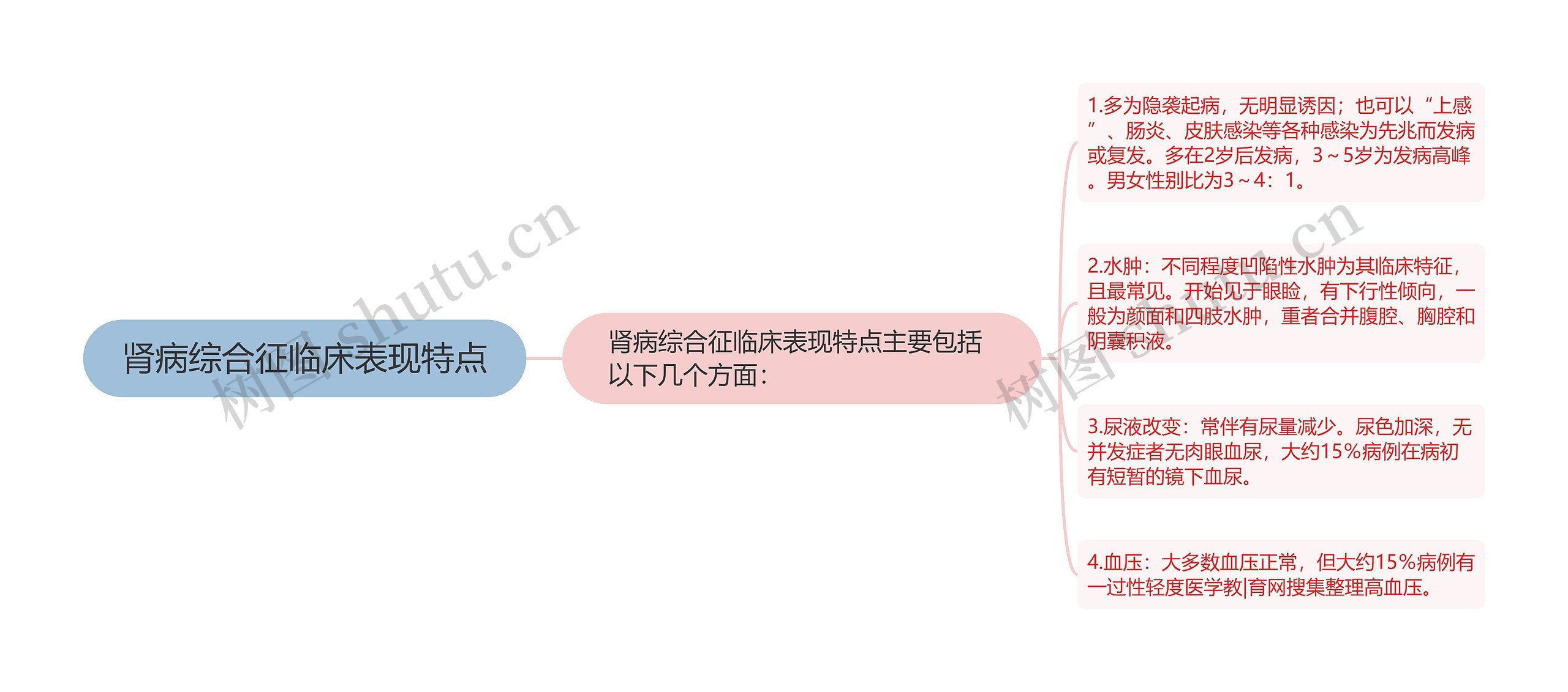 肾病综合征临床表现特点