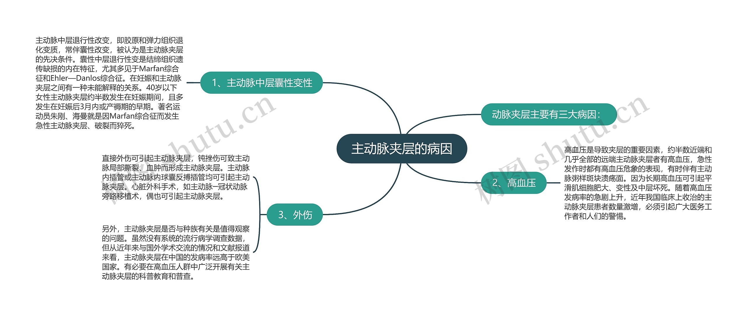 主动脉夹层的病因思维导图