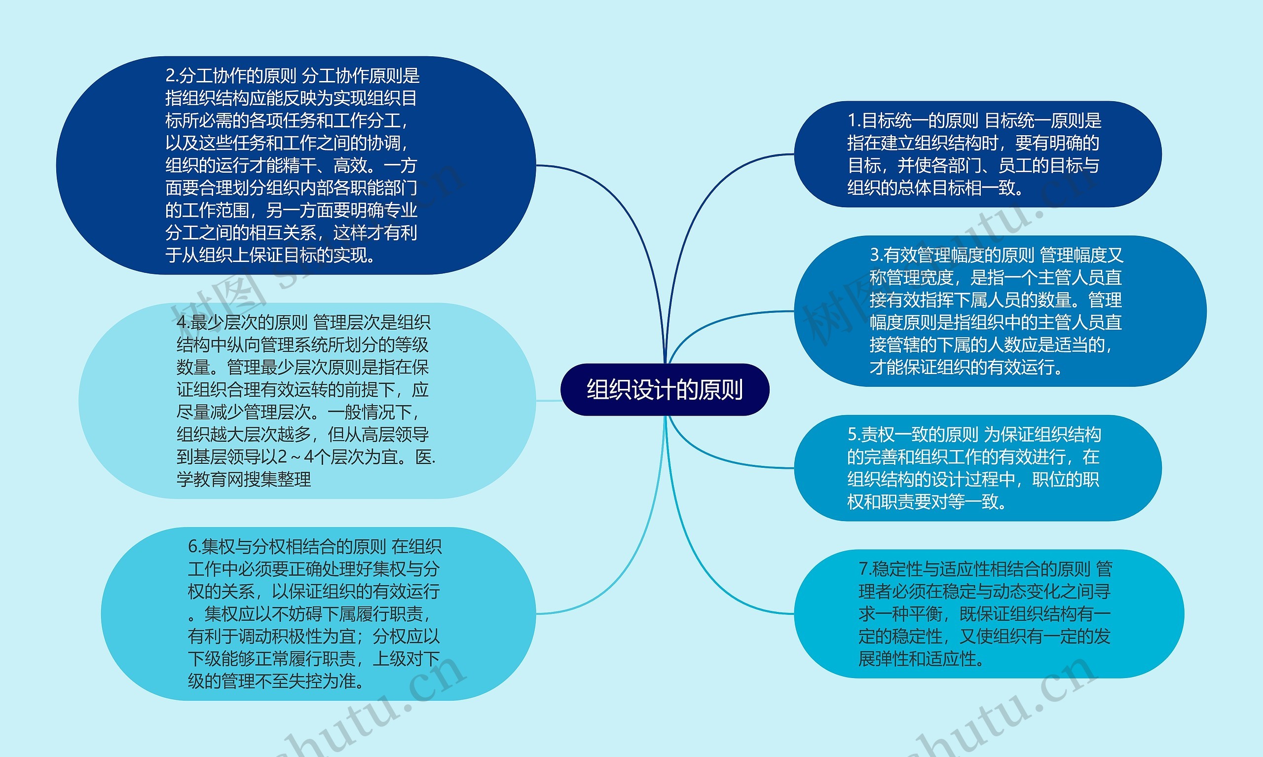 组织设计的原则