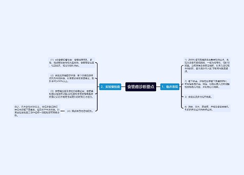 食管癌诊断要点