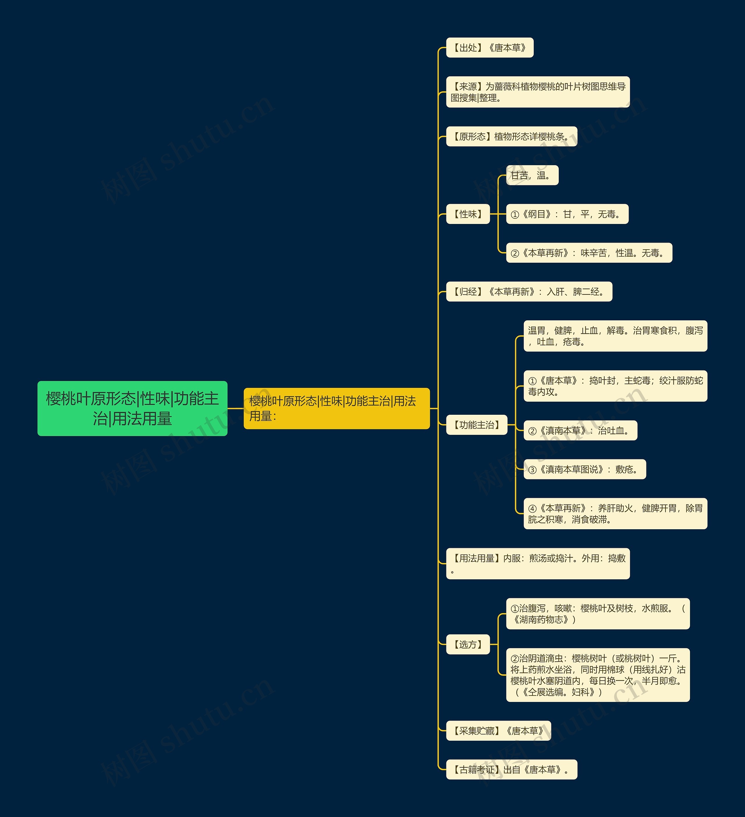 樱桃叶原形态|性味|功能主治|用法用量思维导图