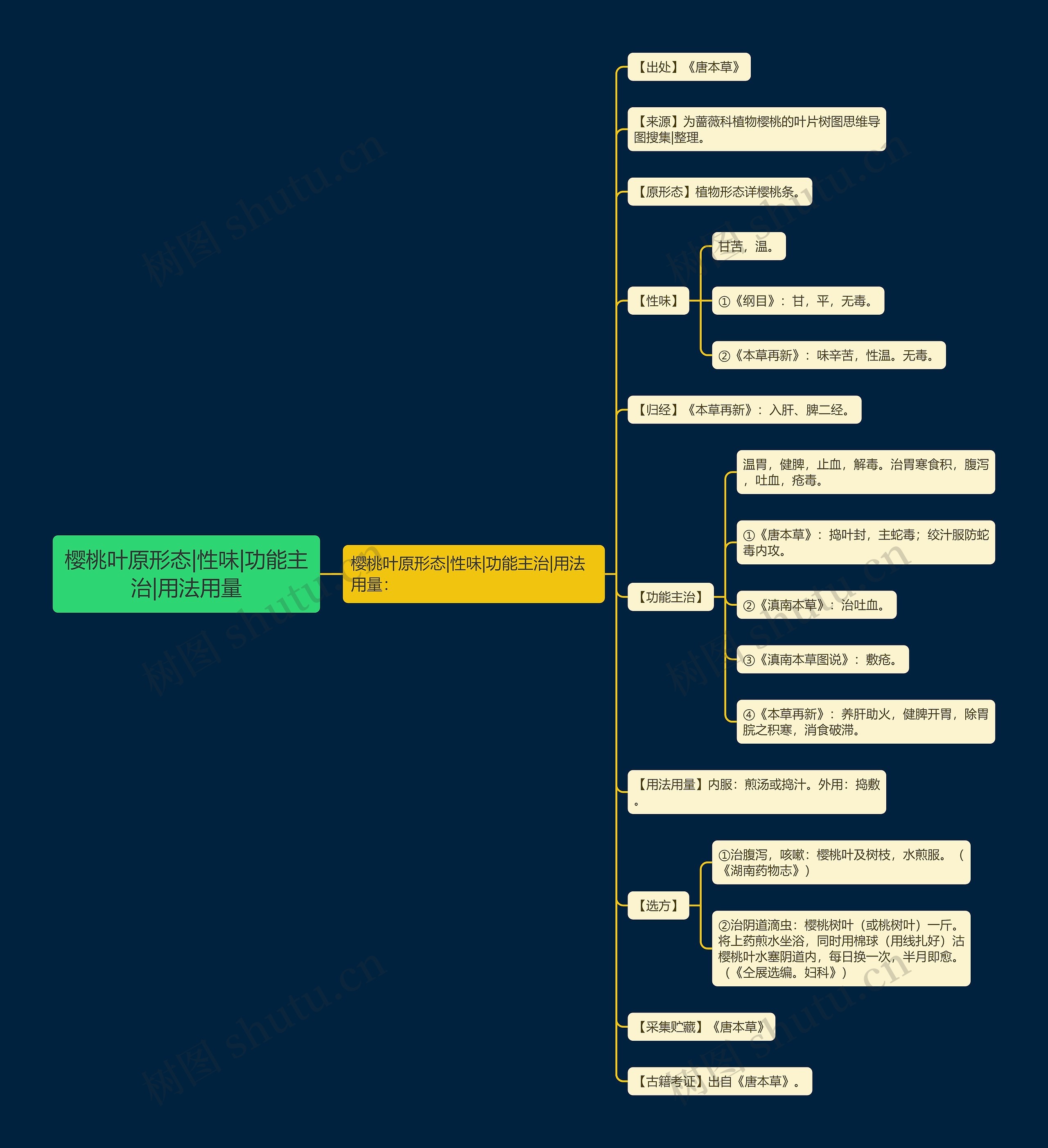 樱桃叶原形态|性味|功能主治|用法用量 樱桃叶原形态|性味|功能主治|用法用量