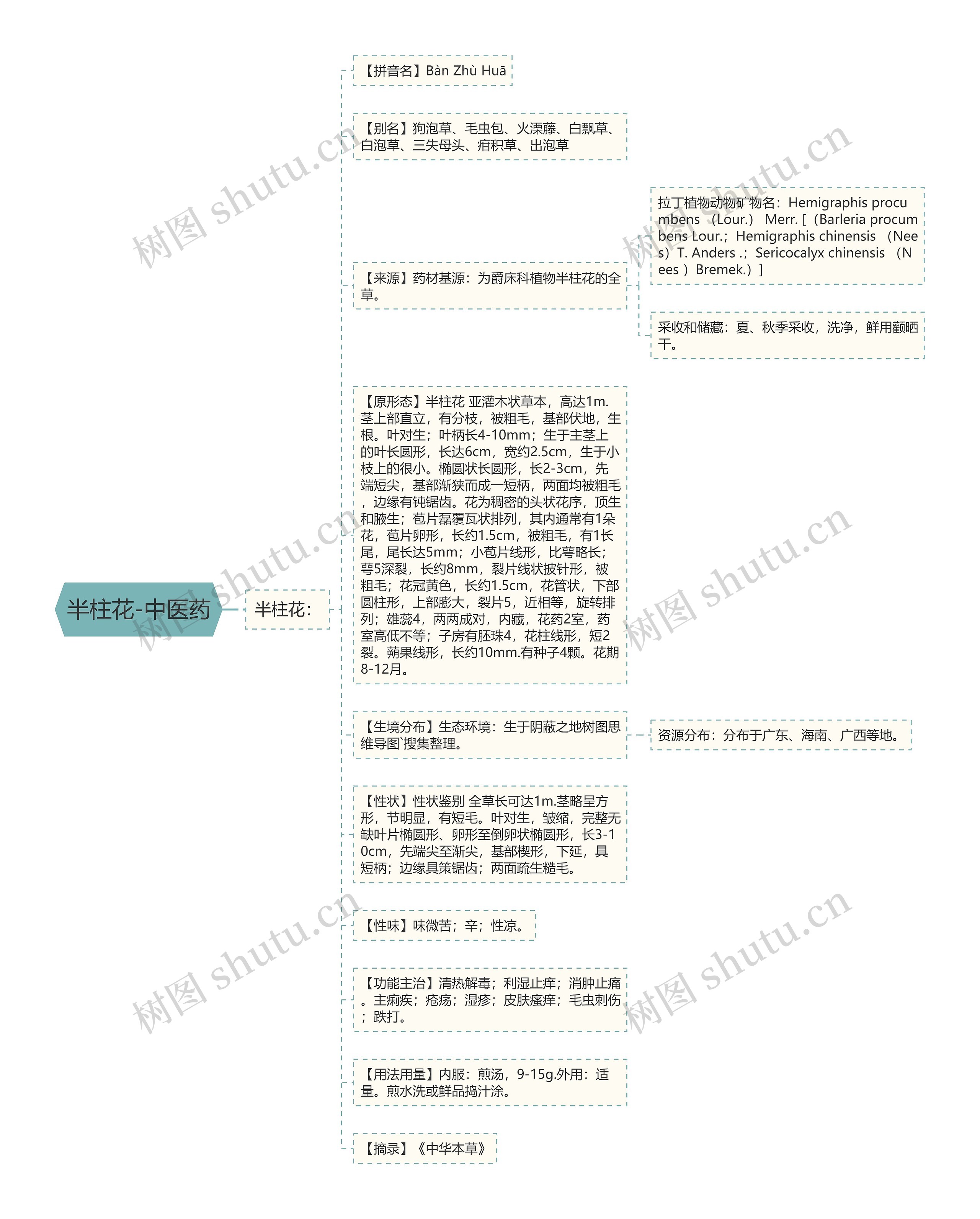 半柱花-中医药思维导图