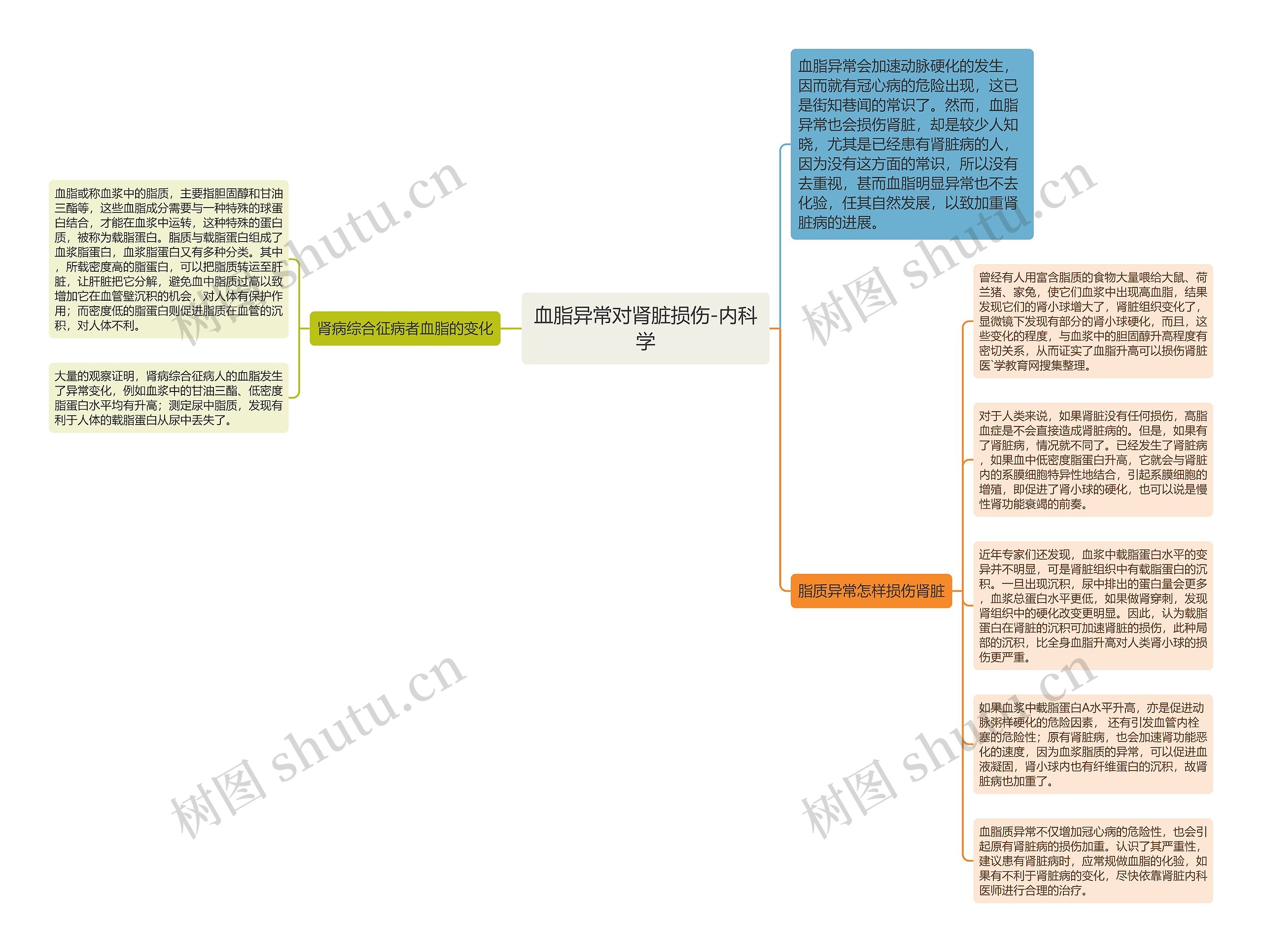 血脂异常对肾脏损伤-内科学