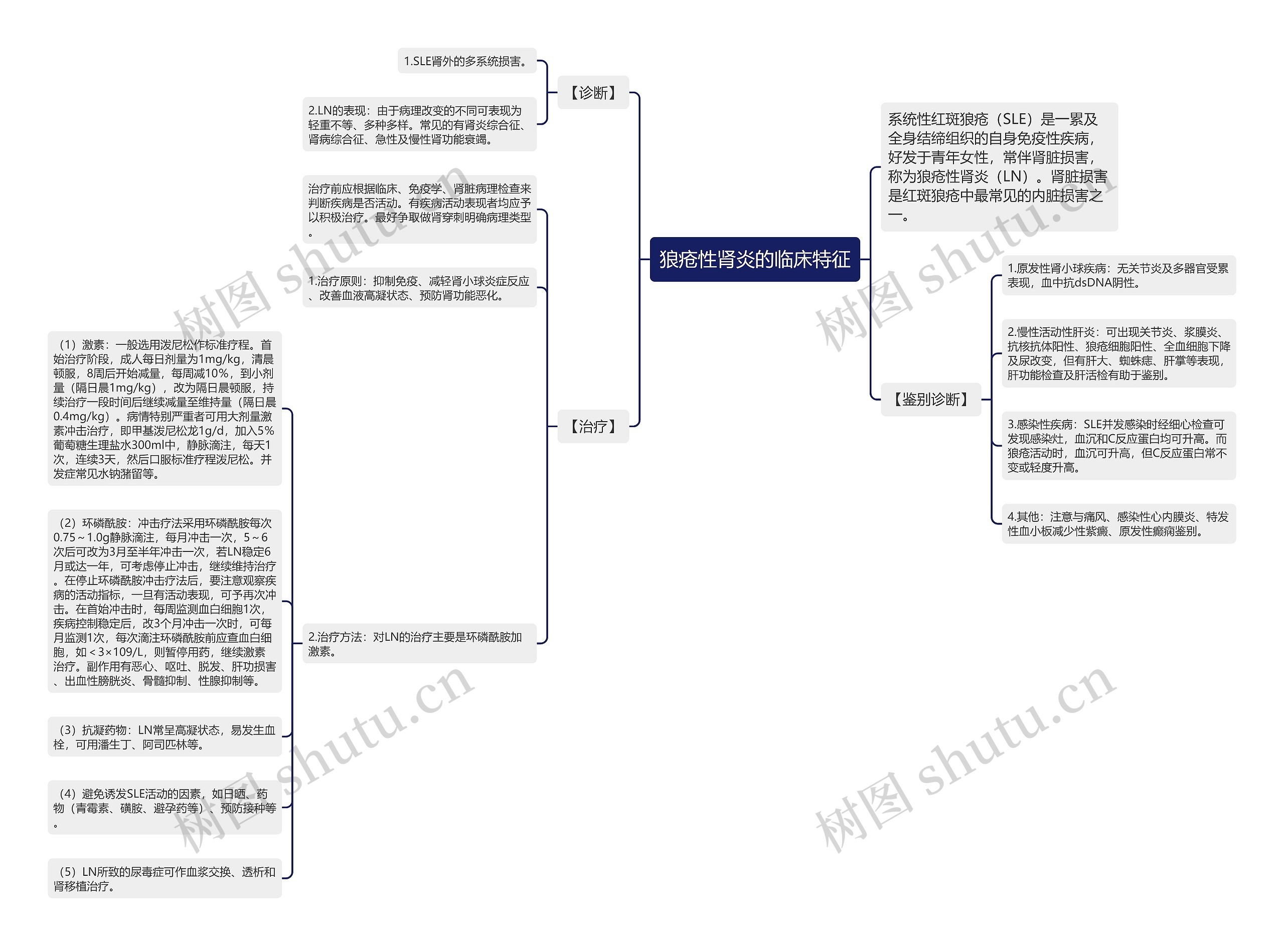 狼疮性肾炎的临床特征思维导图