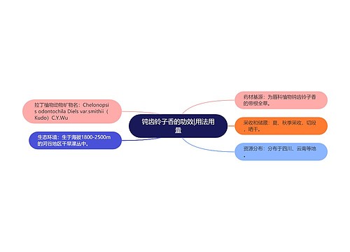 钝齿铃子香的功效|用法用量